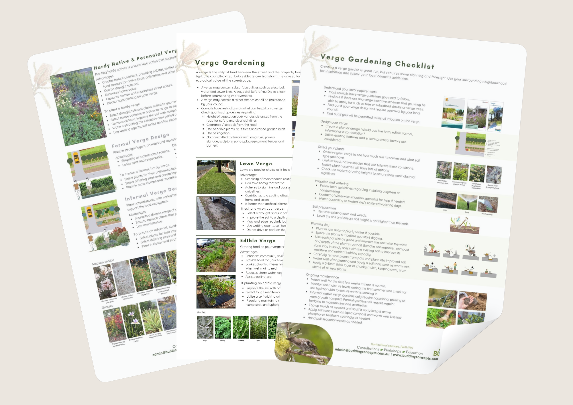 Verge Gardening Factsheet