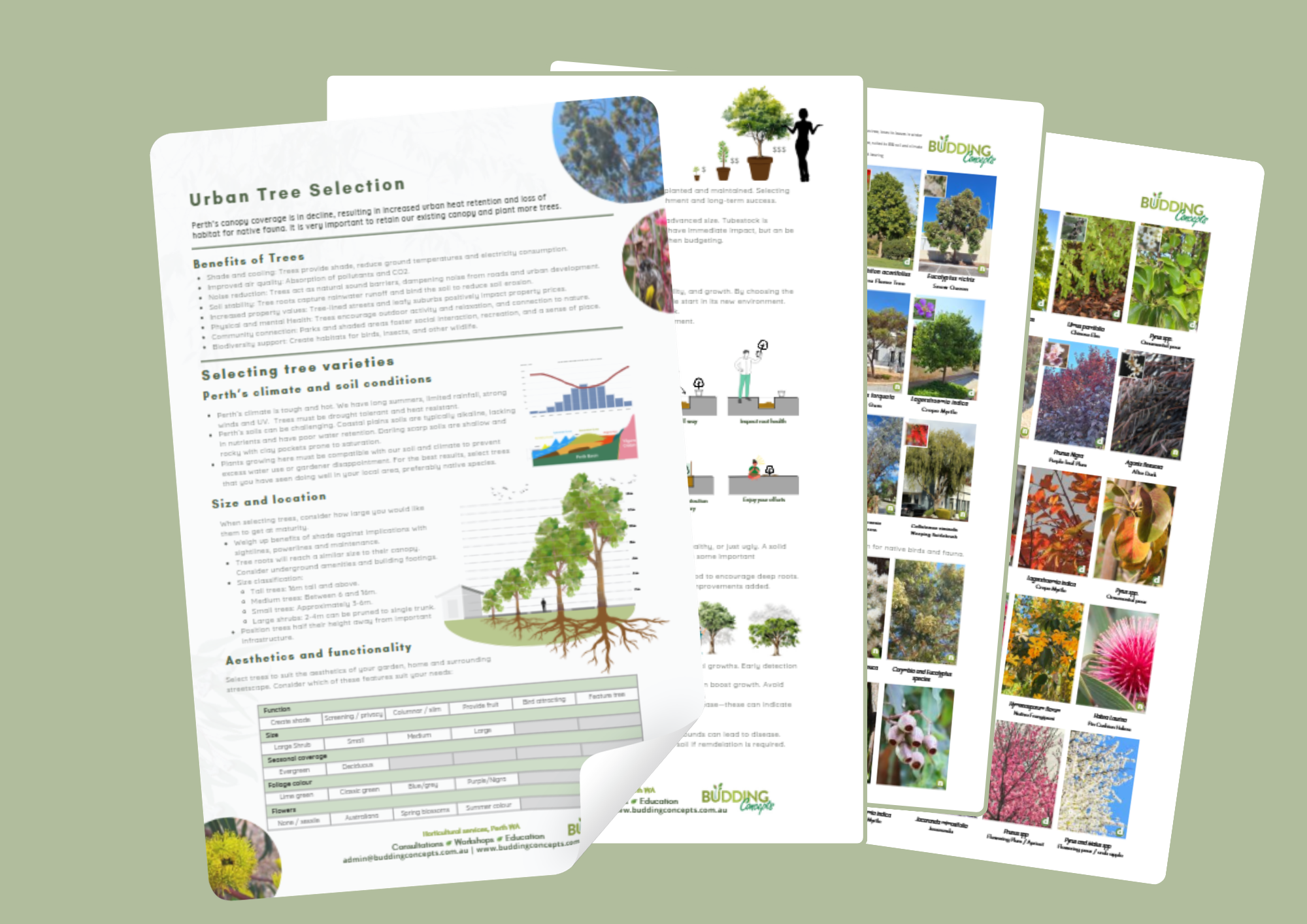 Digital download thumbnails.png