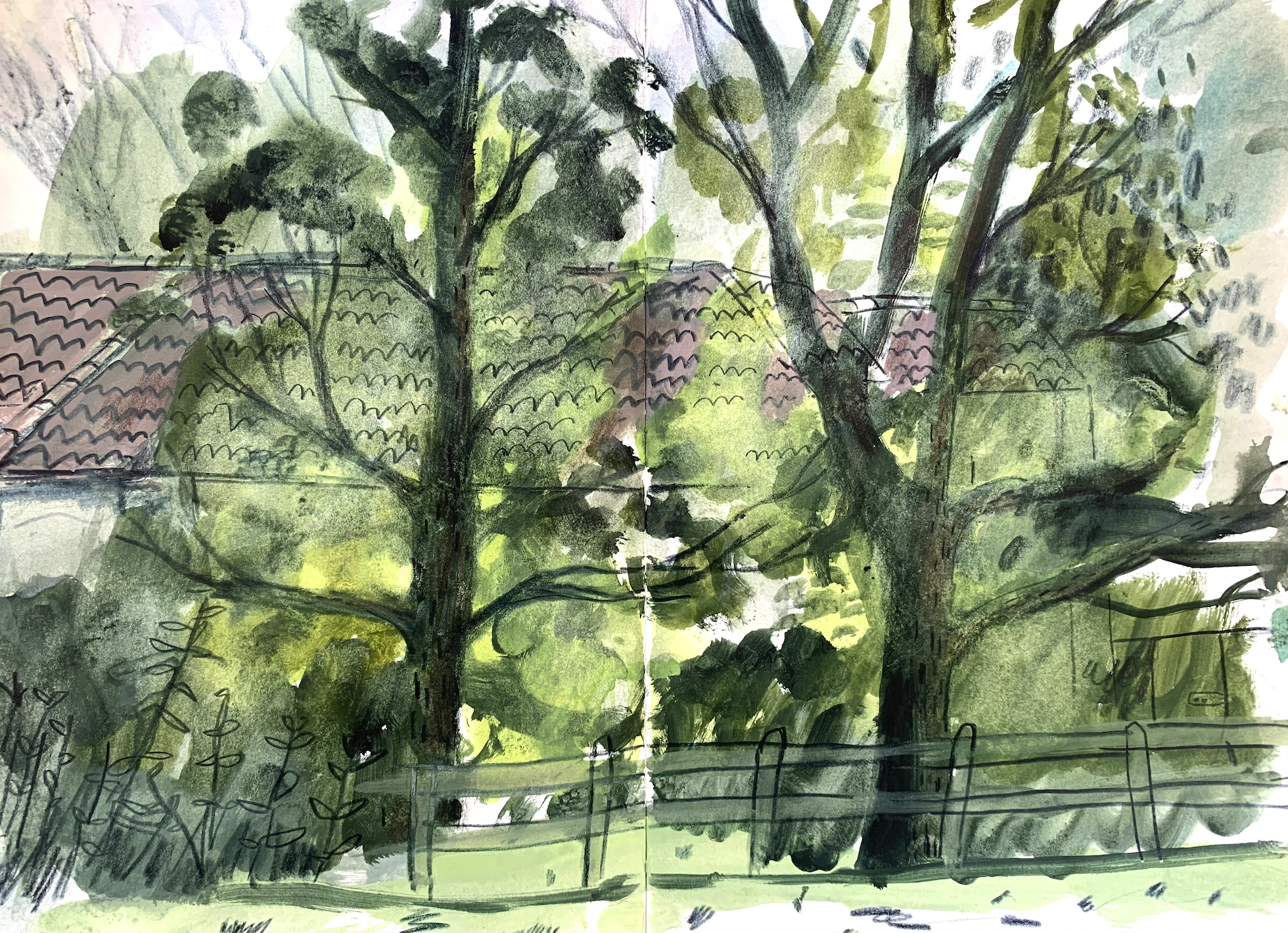 Coe Fen, Cambridge Oct 2024