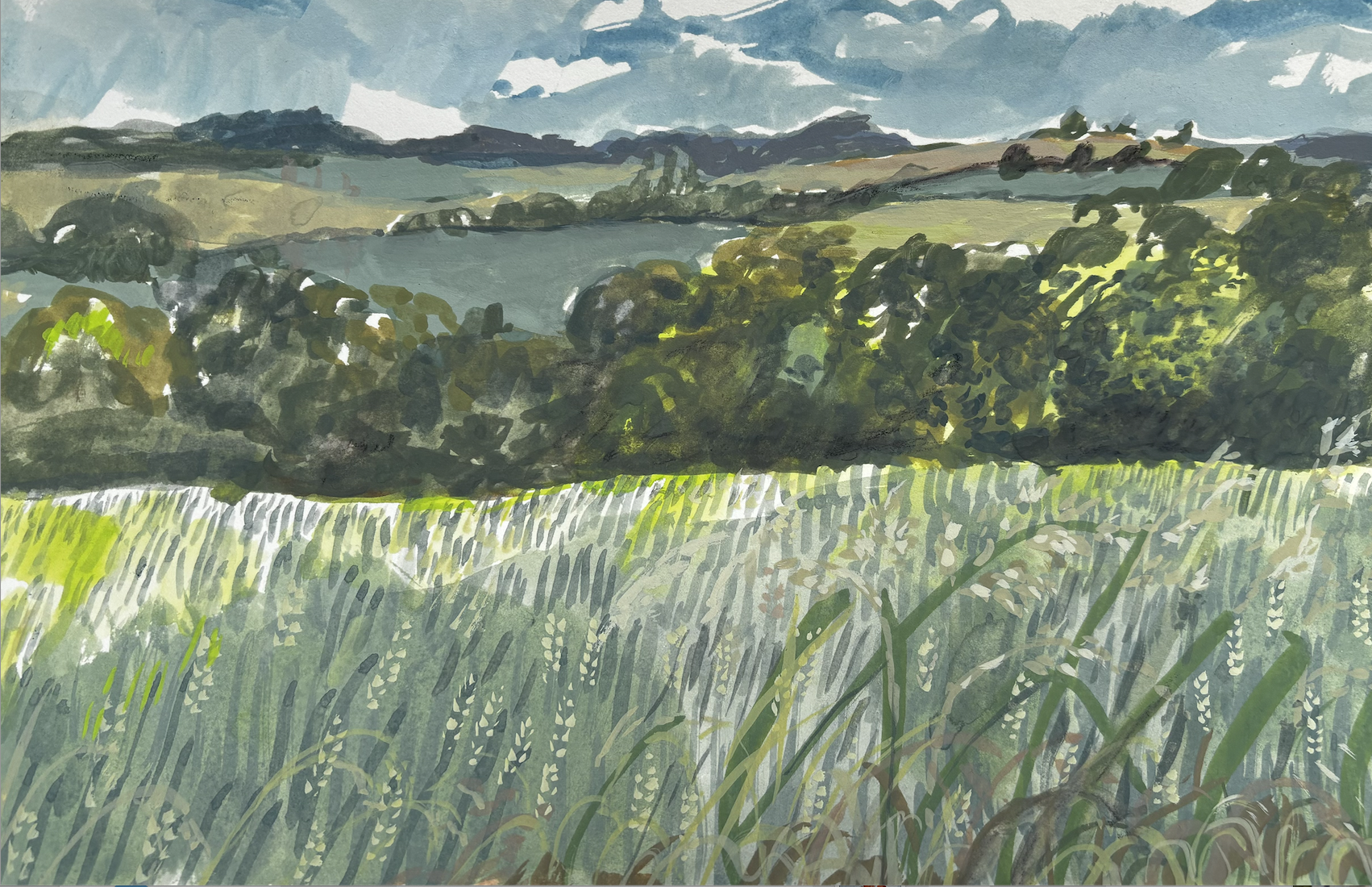 Saffron Walden June 2026