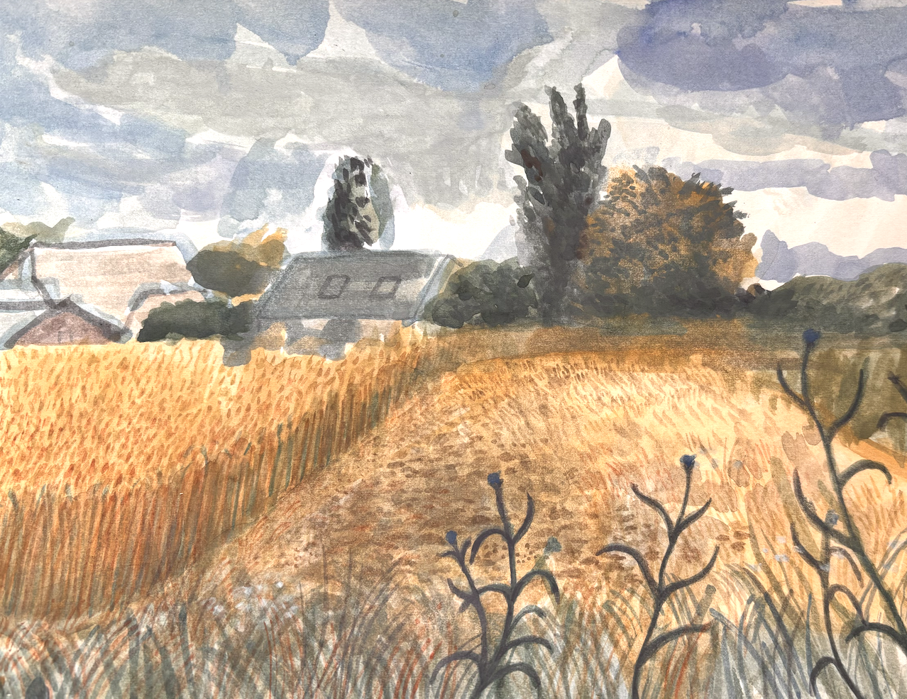 Saffron Walden July 2026