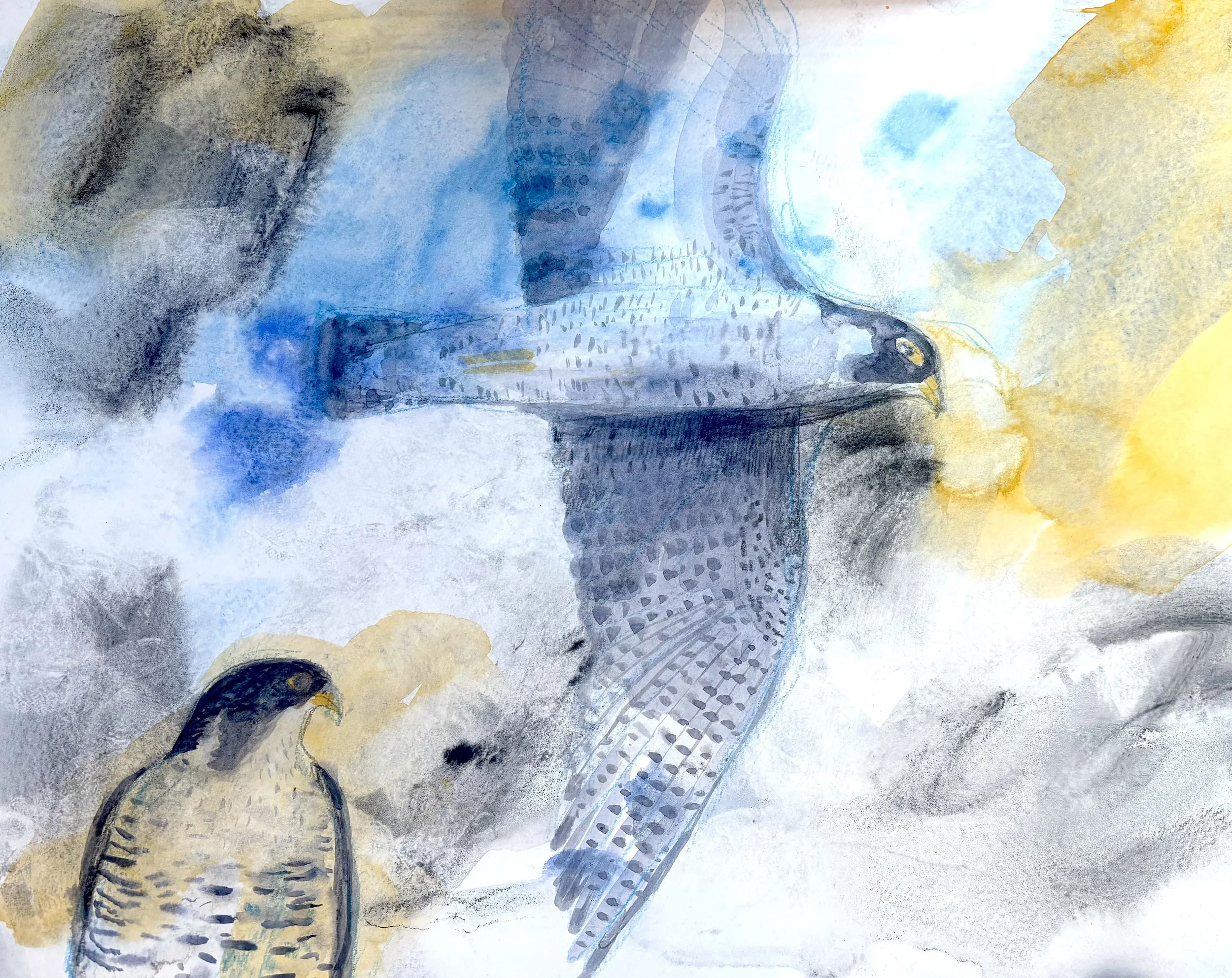 Anna Hardinge Peregrine 1.jpg