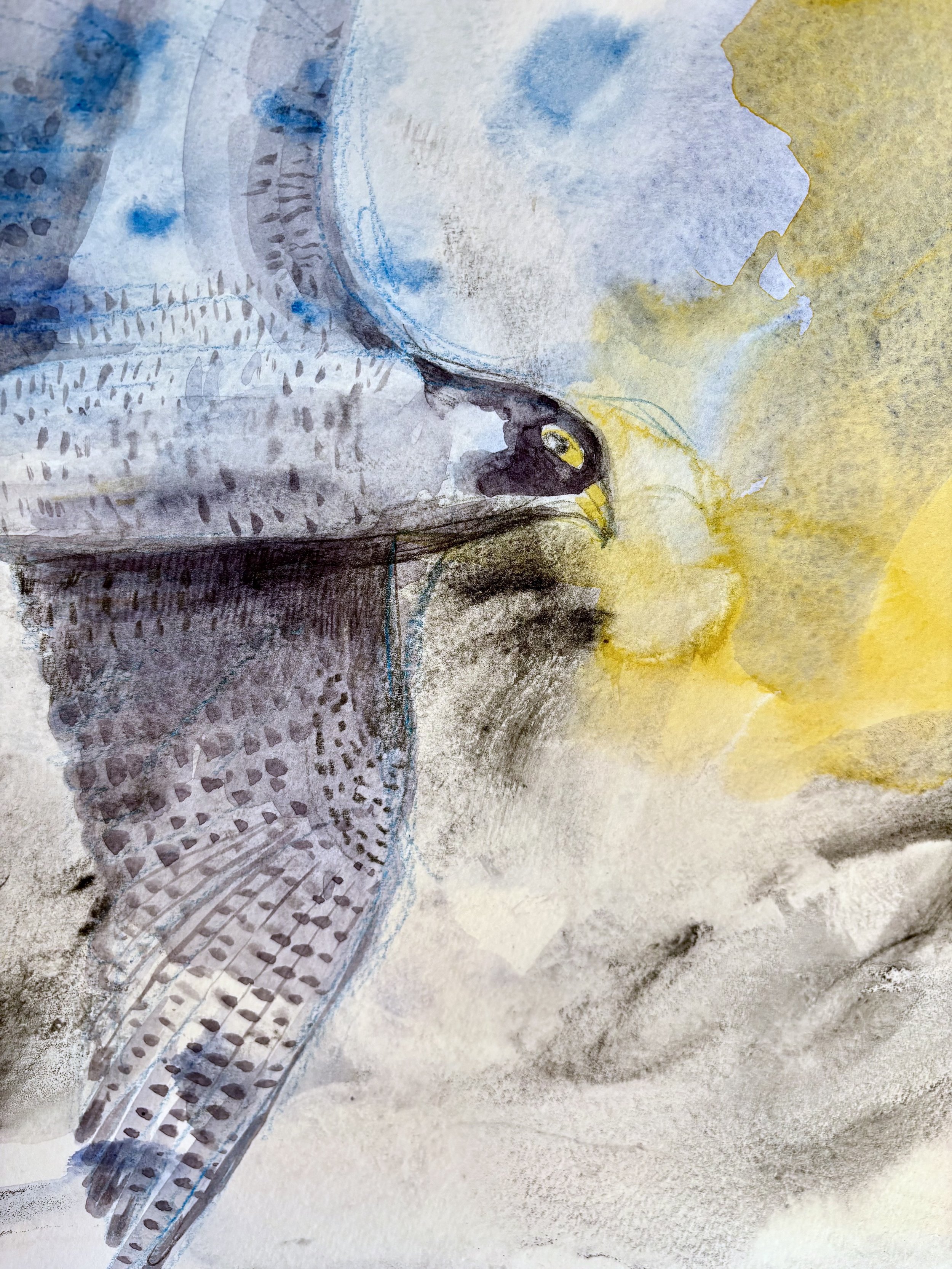Anna Hardinge Peregrine detail.jpg