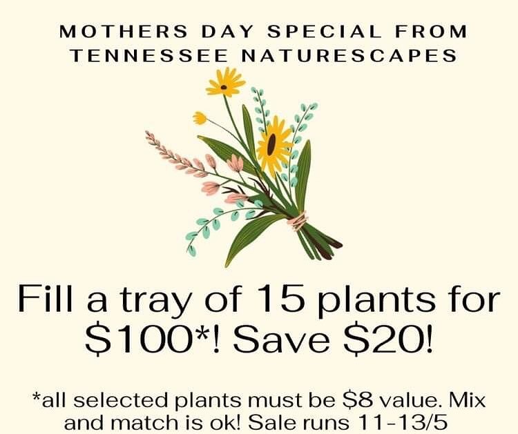 Prepare yourself for NEXT WEEKS sale! Let&rsquo;s all get our mothers beautiful and nature benefiting native plants! 😍🌷

Sale runs 11th to 13th of May!