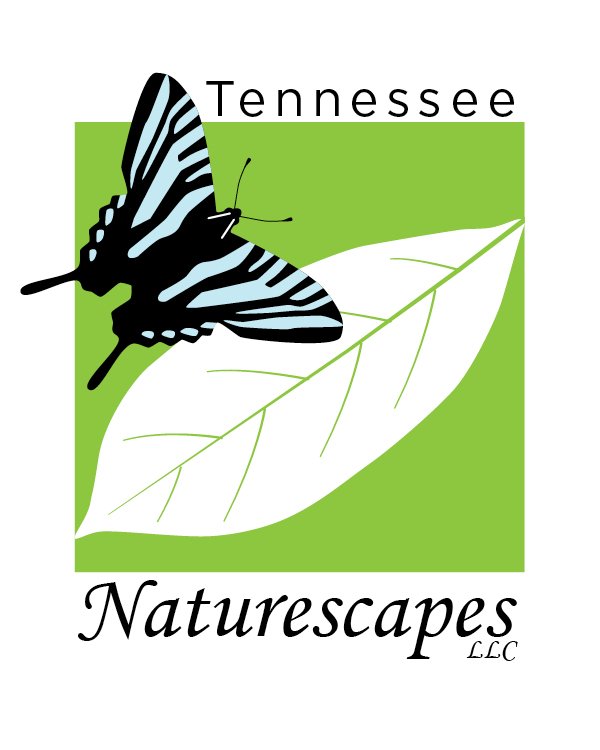 Tennessee Naturescapes 