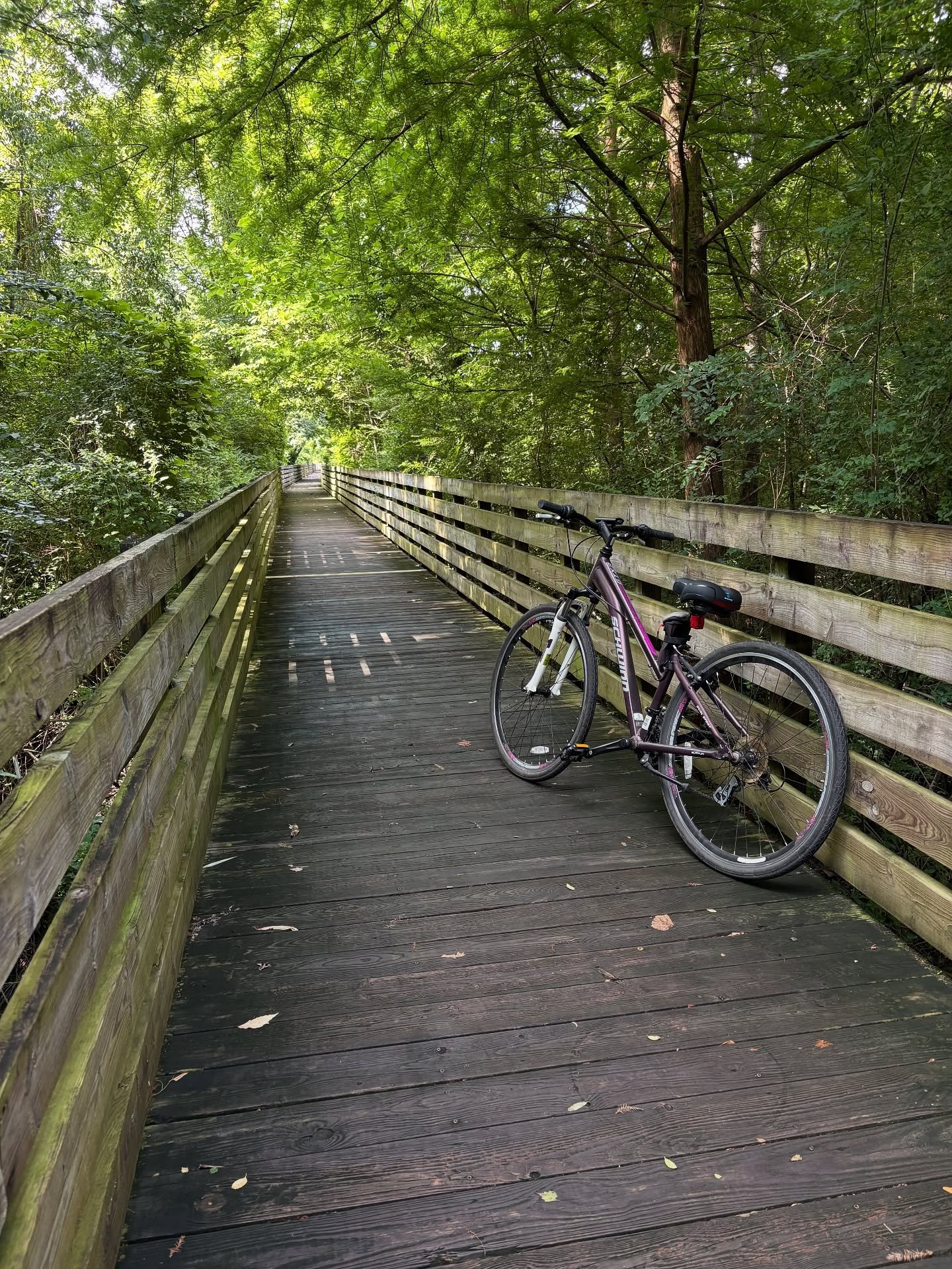 Those who&rsquo;ve been with us from the start know the journey&mdash;Doctor&rsquo;s Park in 2017, downtown in 2020, Piney Green in 2021&hellip; and now in 2025, we&rsquo;re back downtown for good. Why? The beauty, the parks, the glow-up, and the joy