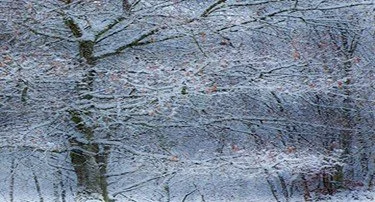 Winter Solstice Gathering with Barbara Sellars
