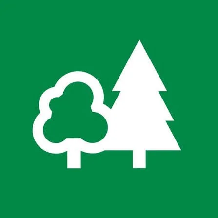 Feel Good in The Forest Briefing