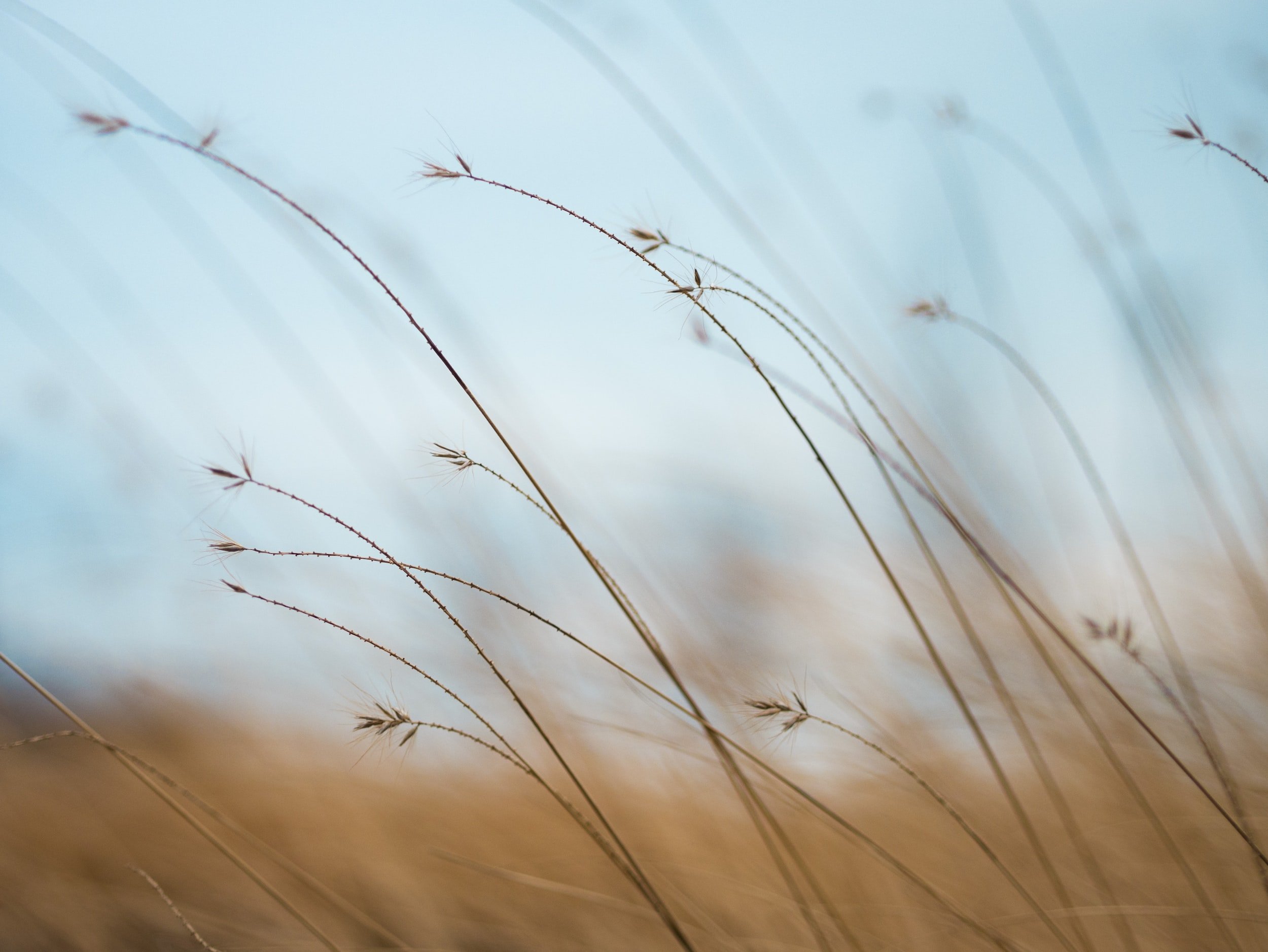 Inflammation and Your Mental Health