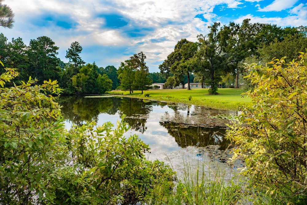 Agape Pond