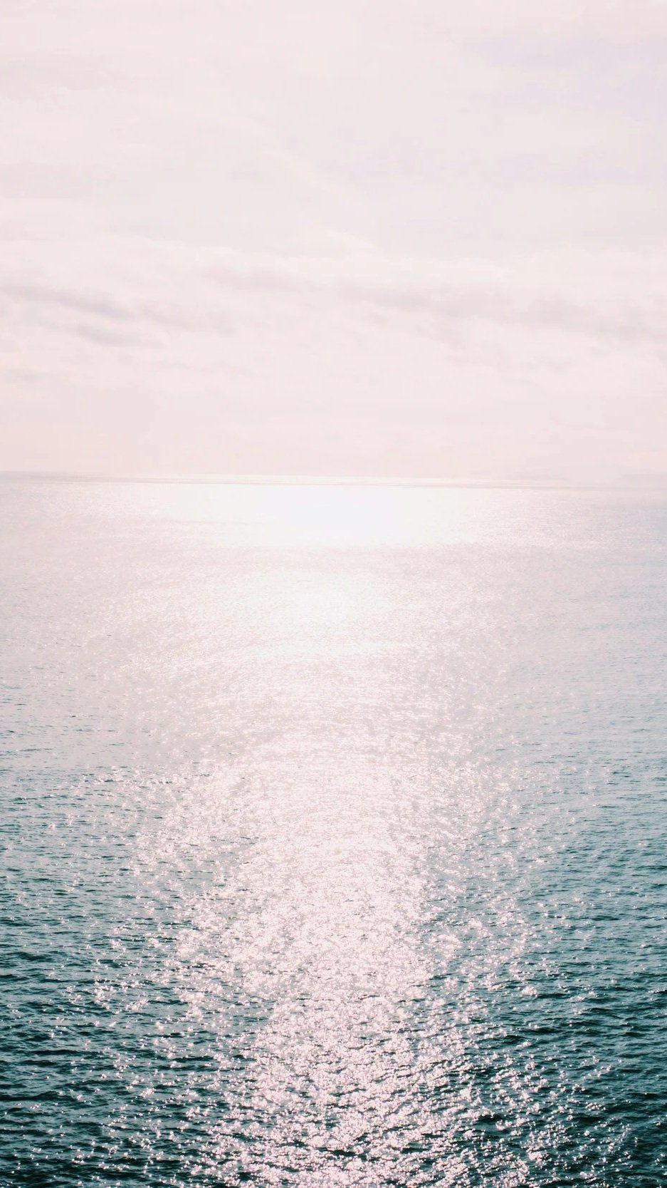 Begleitprogramm Darm und Verdauung - Natura Heilpraxis Berlin