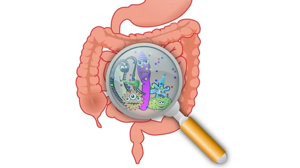 Darmbelastung - Darm mit Lupe die illustrierte Mikroben gezeigt