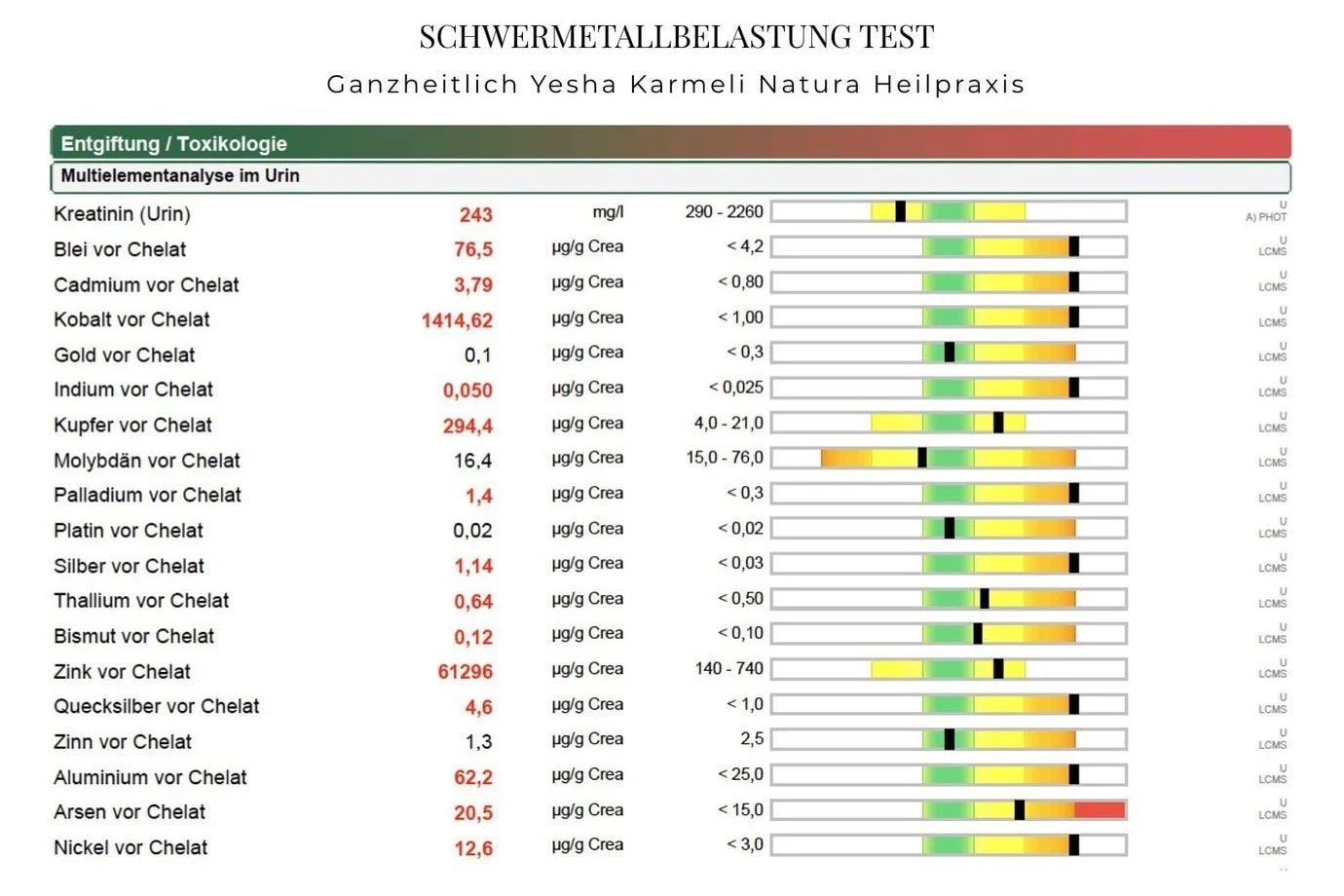 Ergebnis eines Schwermetallbelastungstests bei Yesha Karmeli Naturheilpraxis, mit Werten für verschiedene Metalle wie Blei, Cadmium, Quecksilber, Arsen und Nickel. Die Werte sind farblich markiert, wobei einige Werte die Grenzwerte überschreiten.