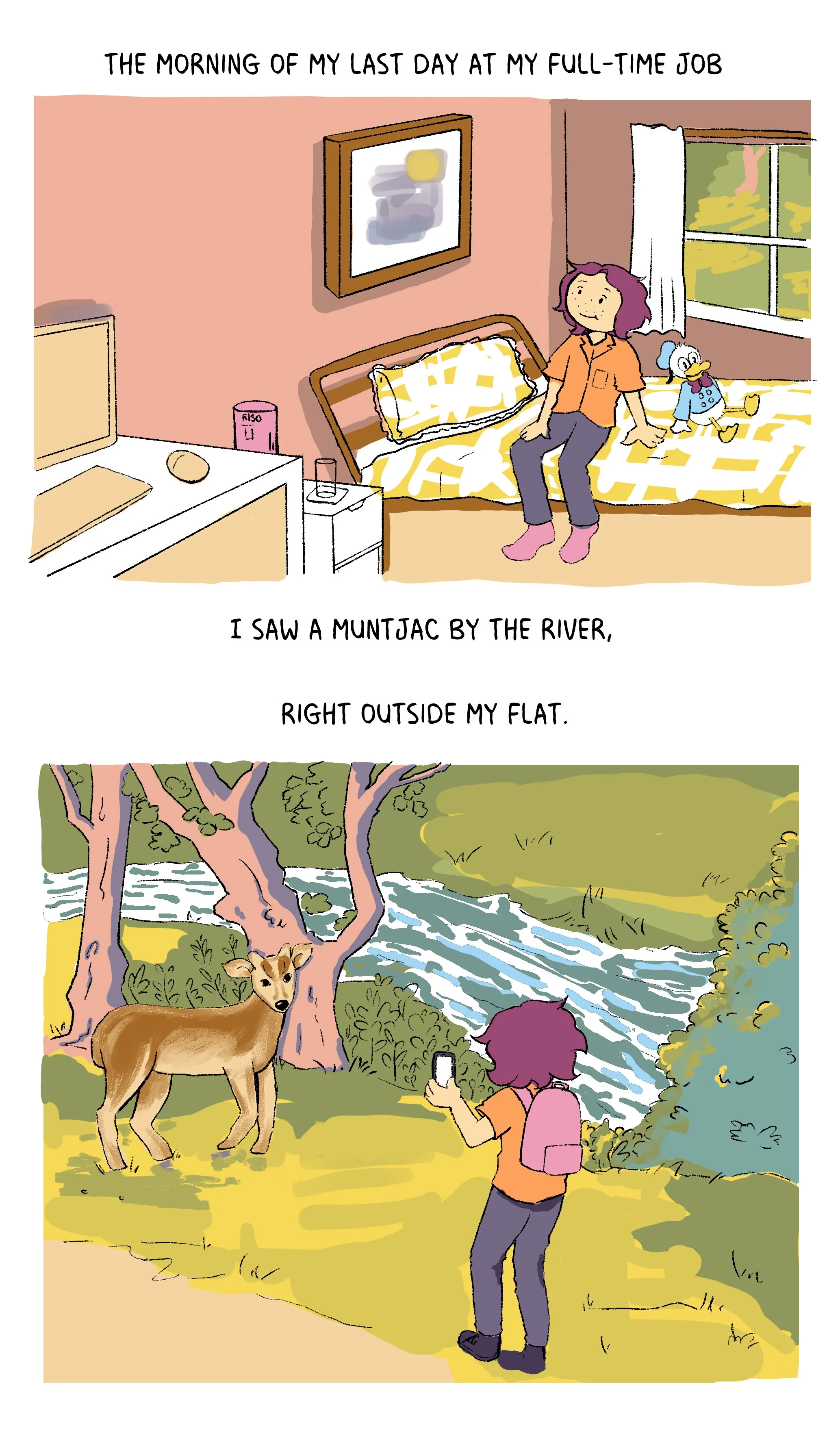 Muntjac 1.jpg