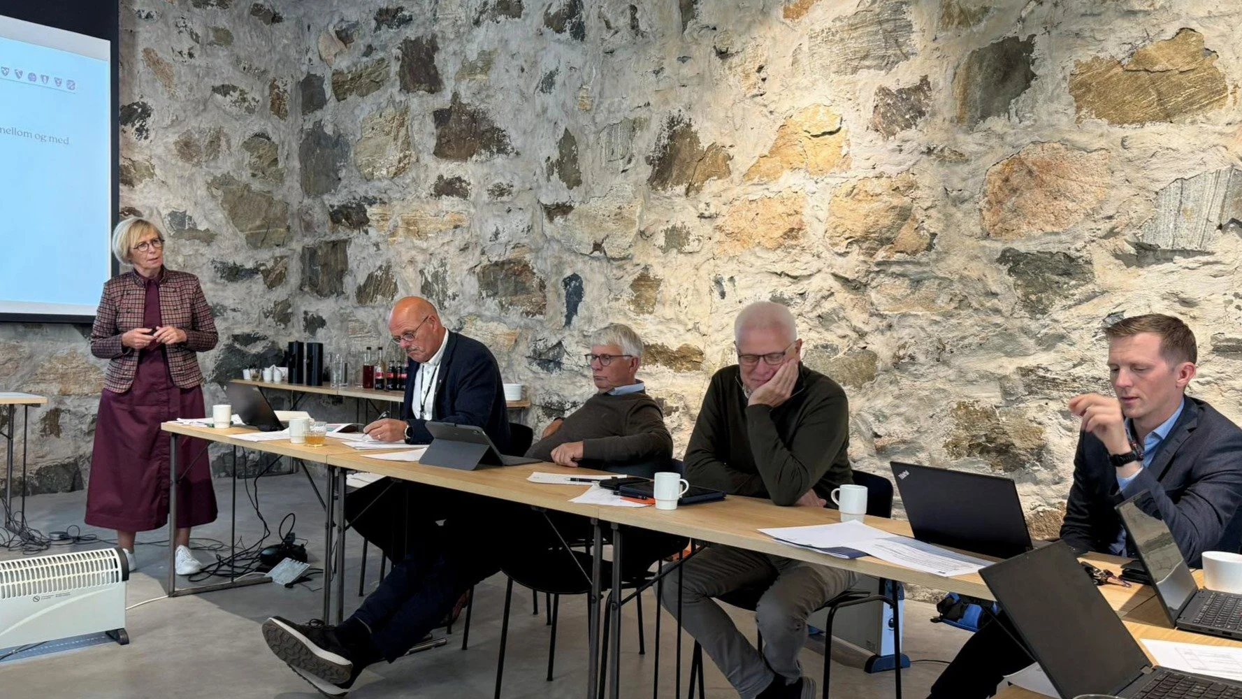 prosess satsingsområder.JPG