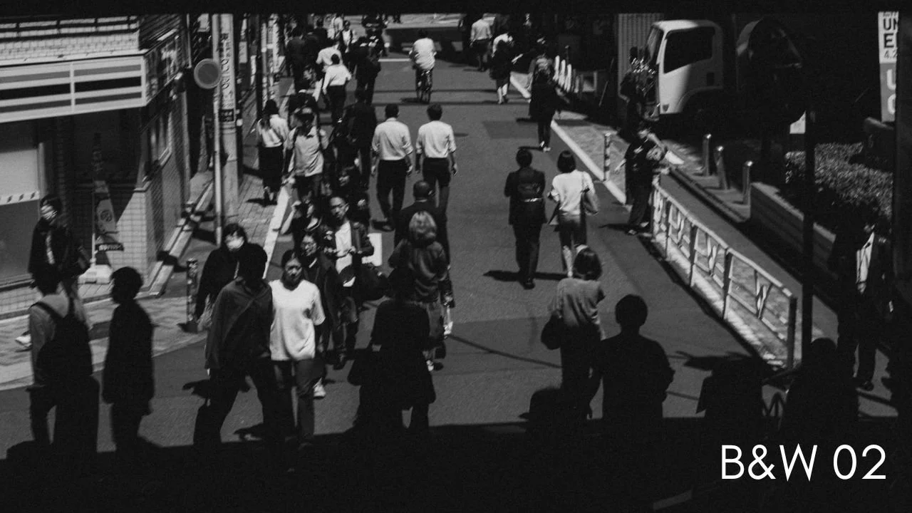 COLOR 01-8.jpg