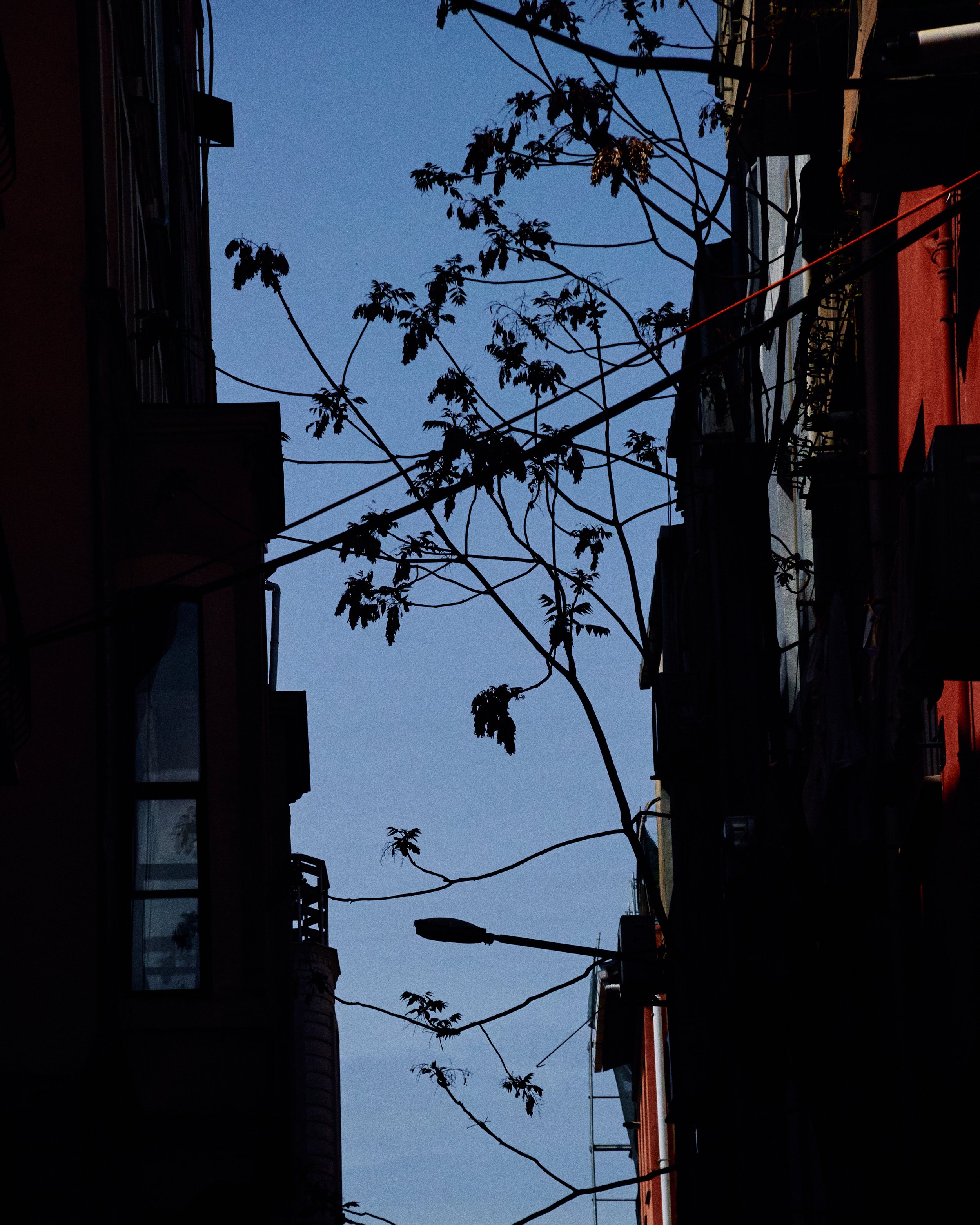 DSC02858.jpg