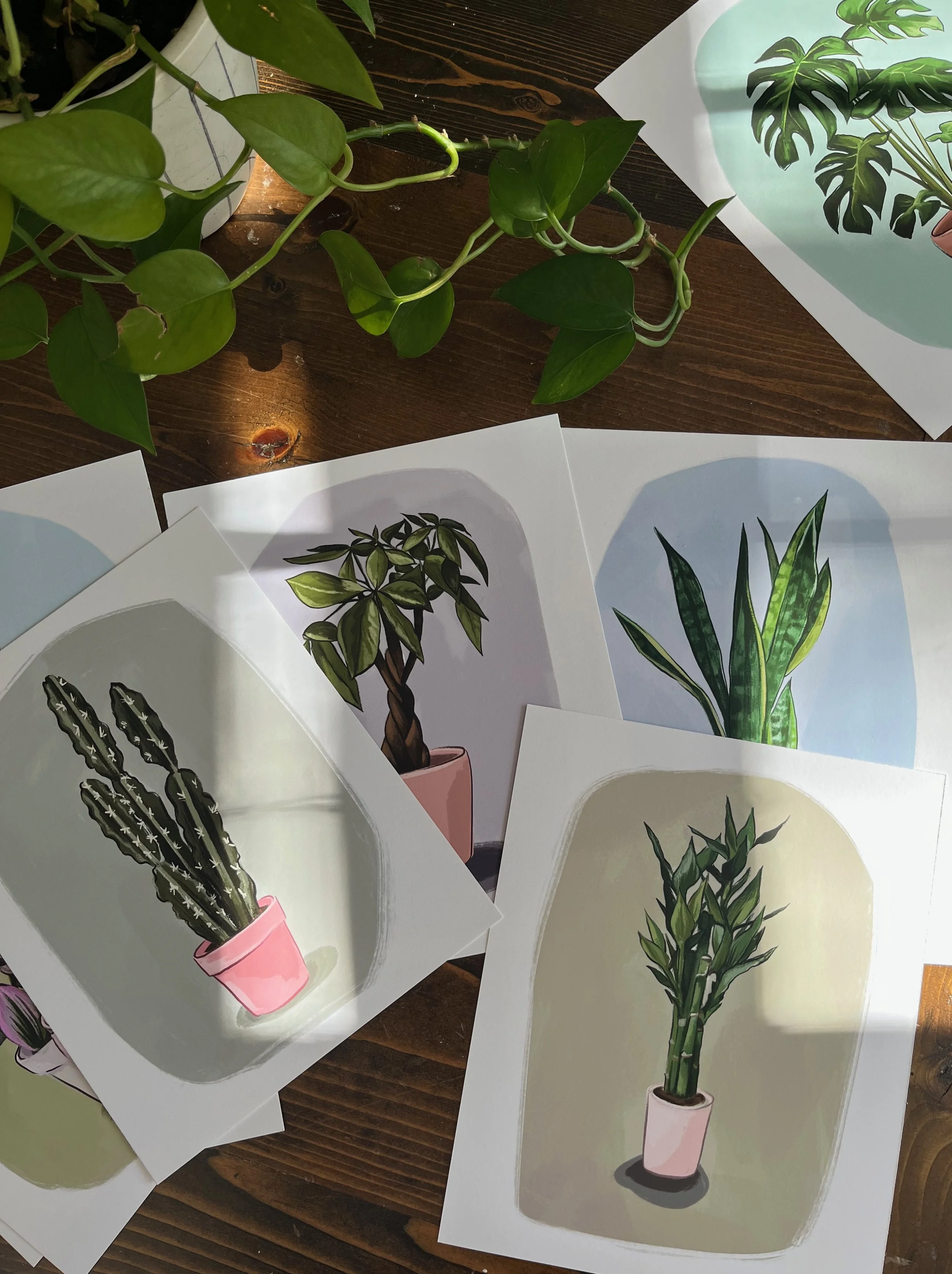 IMG_0745.jpeg (Copy)