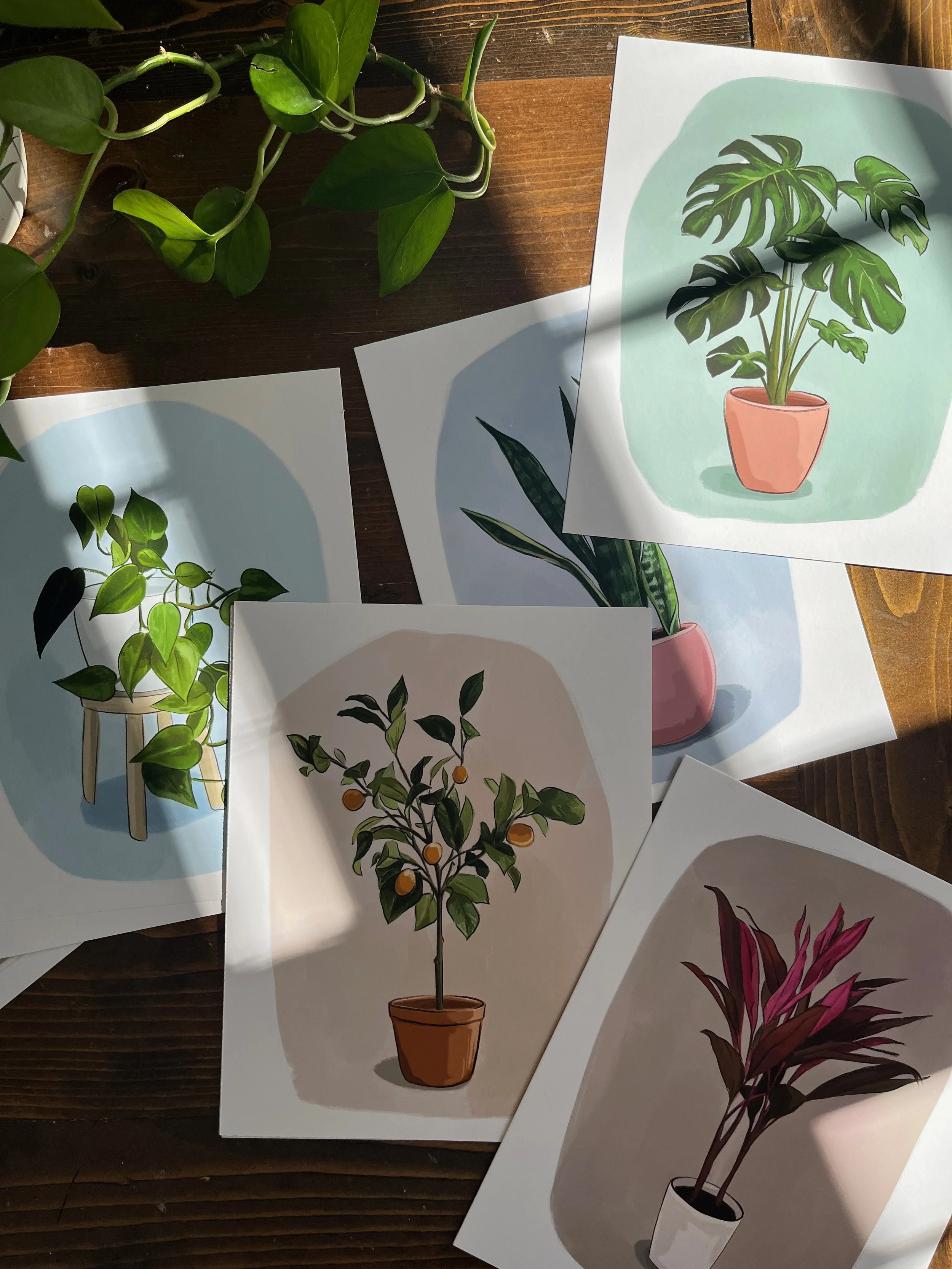 IMG_0752.jpeg (Copy)