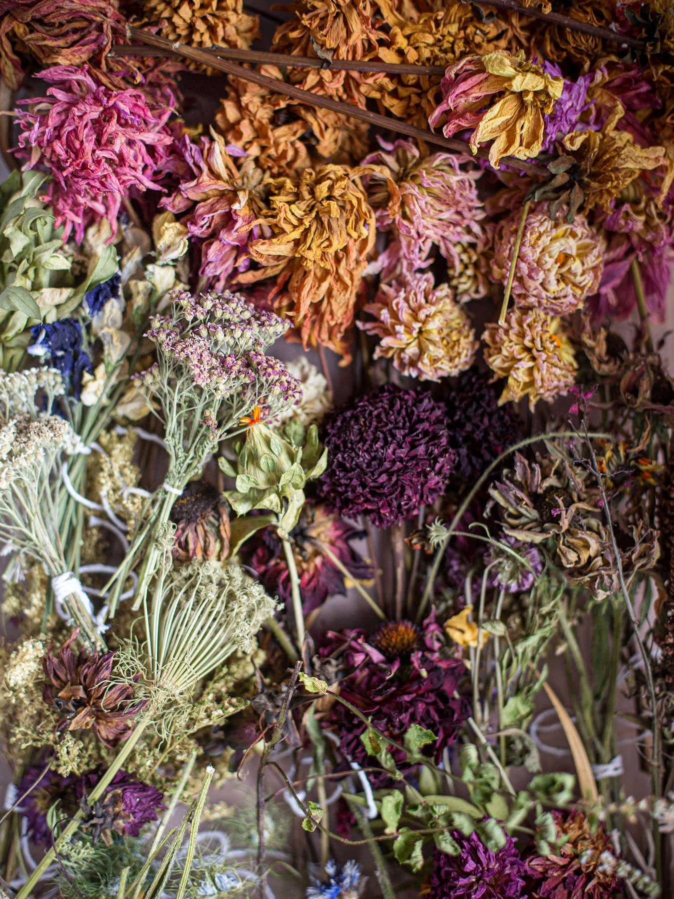 gardenandstudio011.jpg