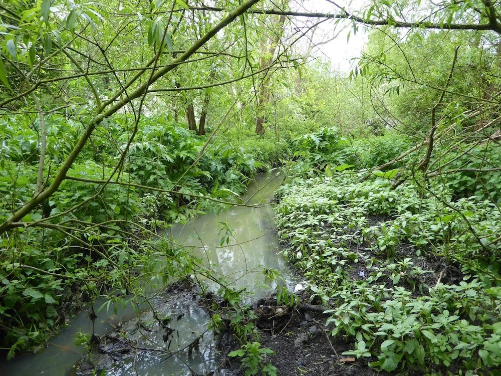 North West Wetlands project due to start next month