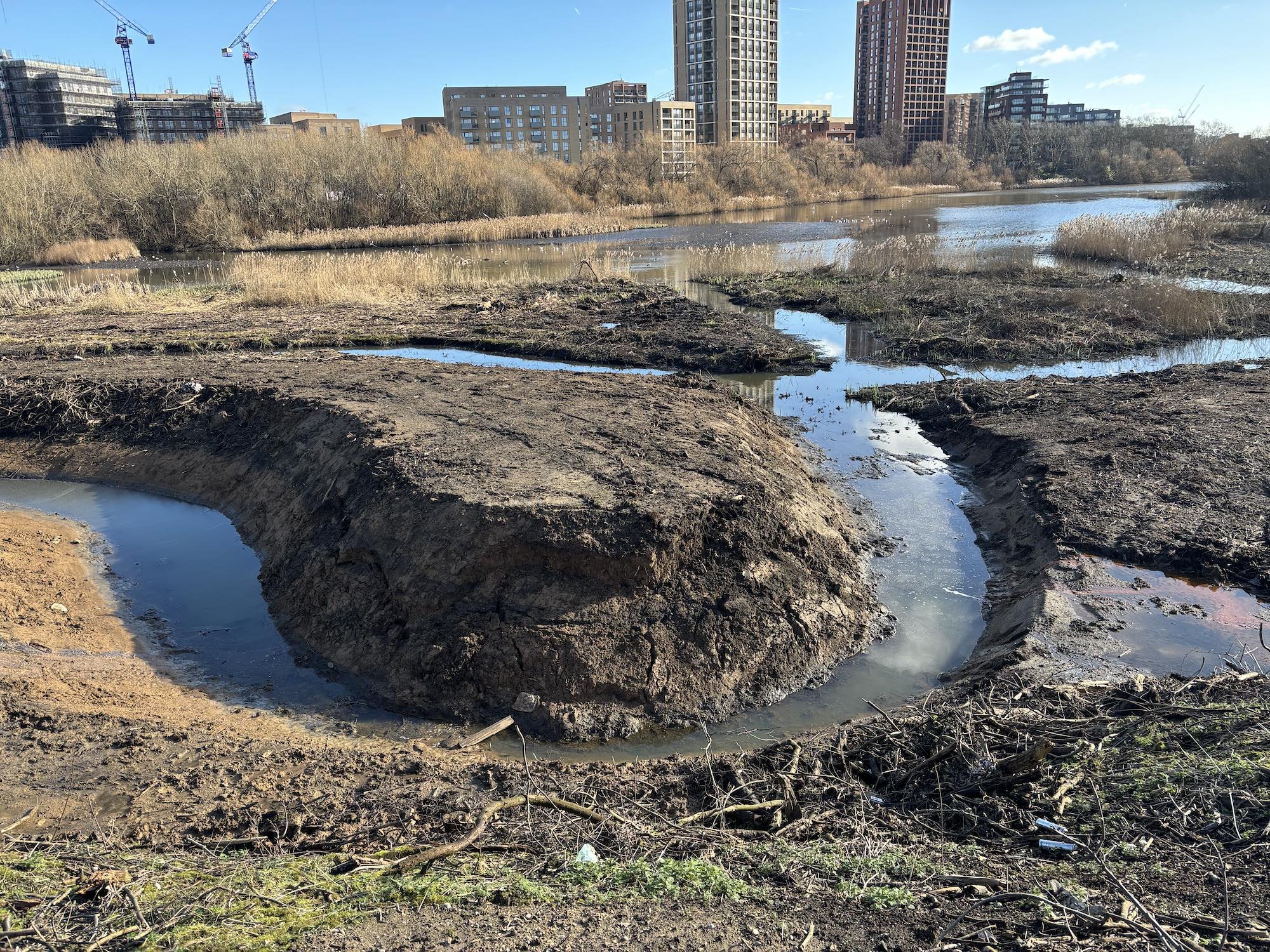 North Marsh restoration update