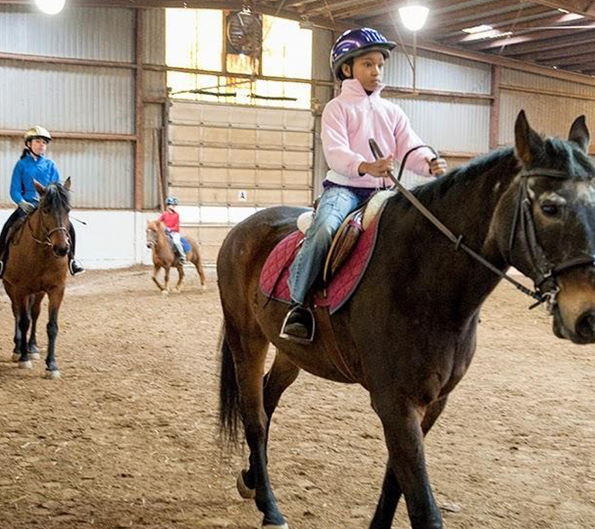 Riding Lessons — Wheaton Park Stables