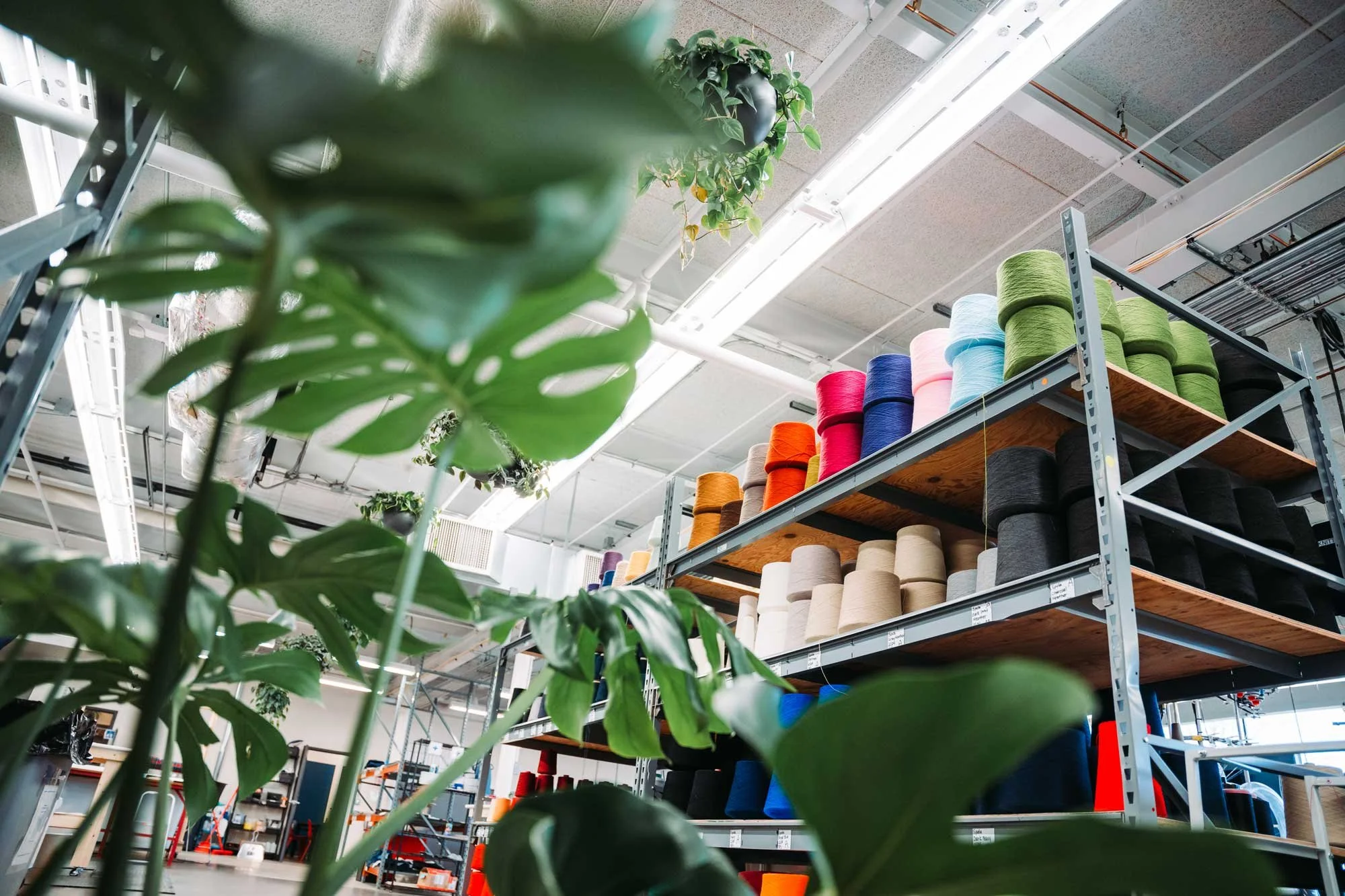 Industrial interior with shelves holding colorful spools of thread, surrounded by green potted plants and fluorescent lights on the ceiling.
