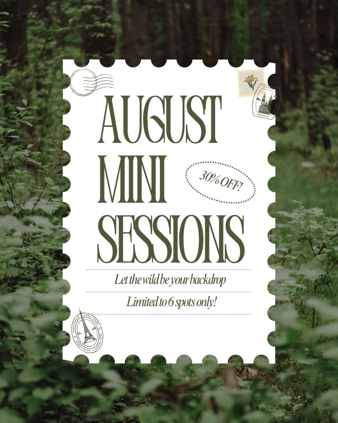 August Mini Sessions