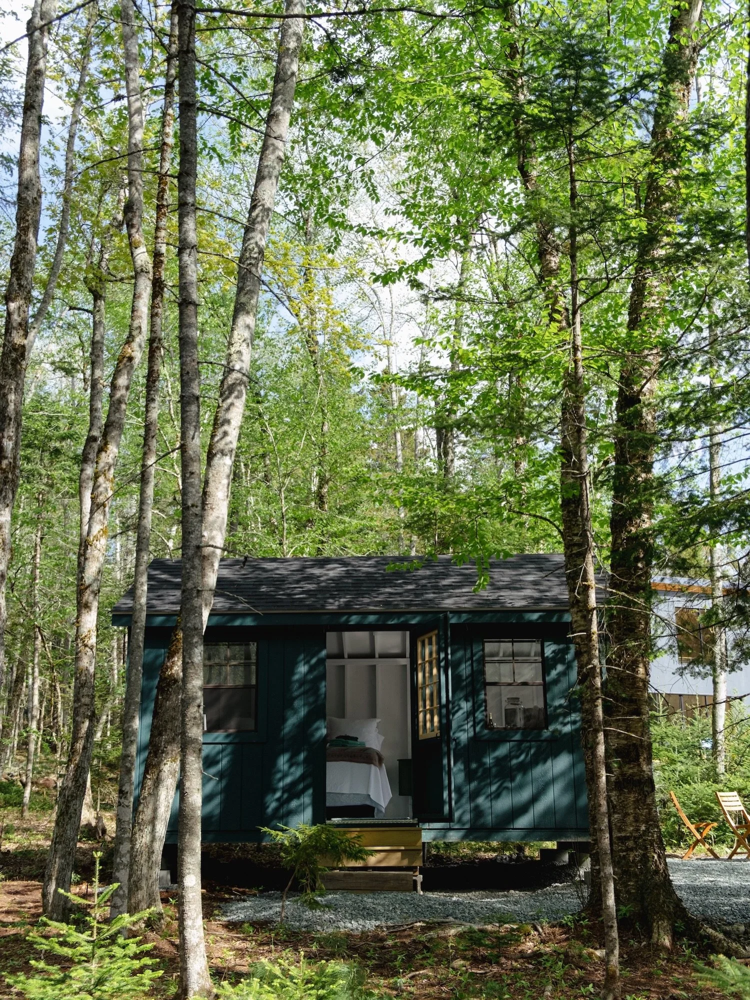 A few frames from my absolutely beautiful stay photographing @risingtideme stunning cabins in Sedgwick, Maine 🌲

From the incredible natural light, to the gorgeous sunsets on Walker Pond, to the rare warblers fitting in the trees - this place is tru