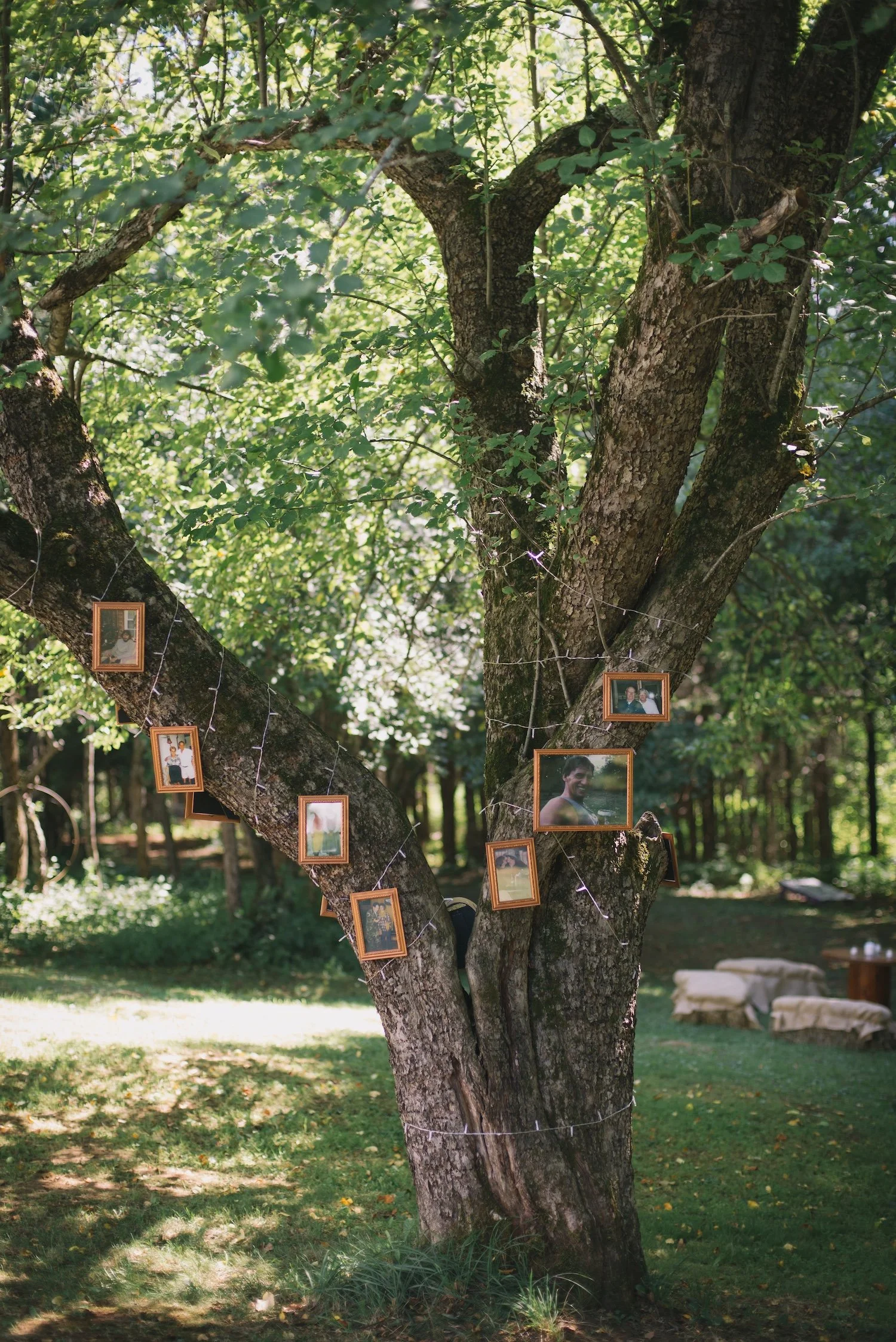 maineweddingphotography.jendeanphoto.6270.jpg