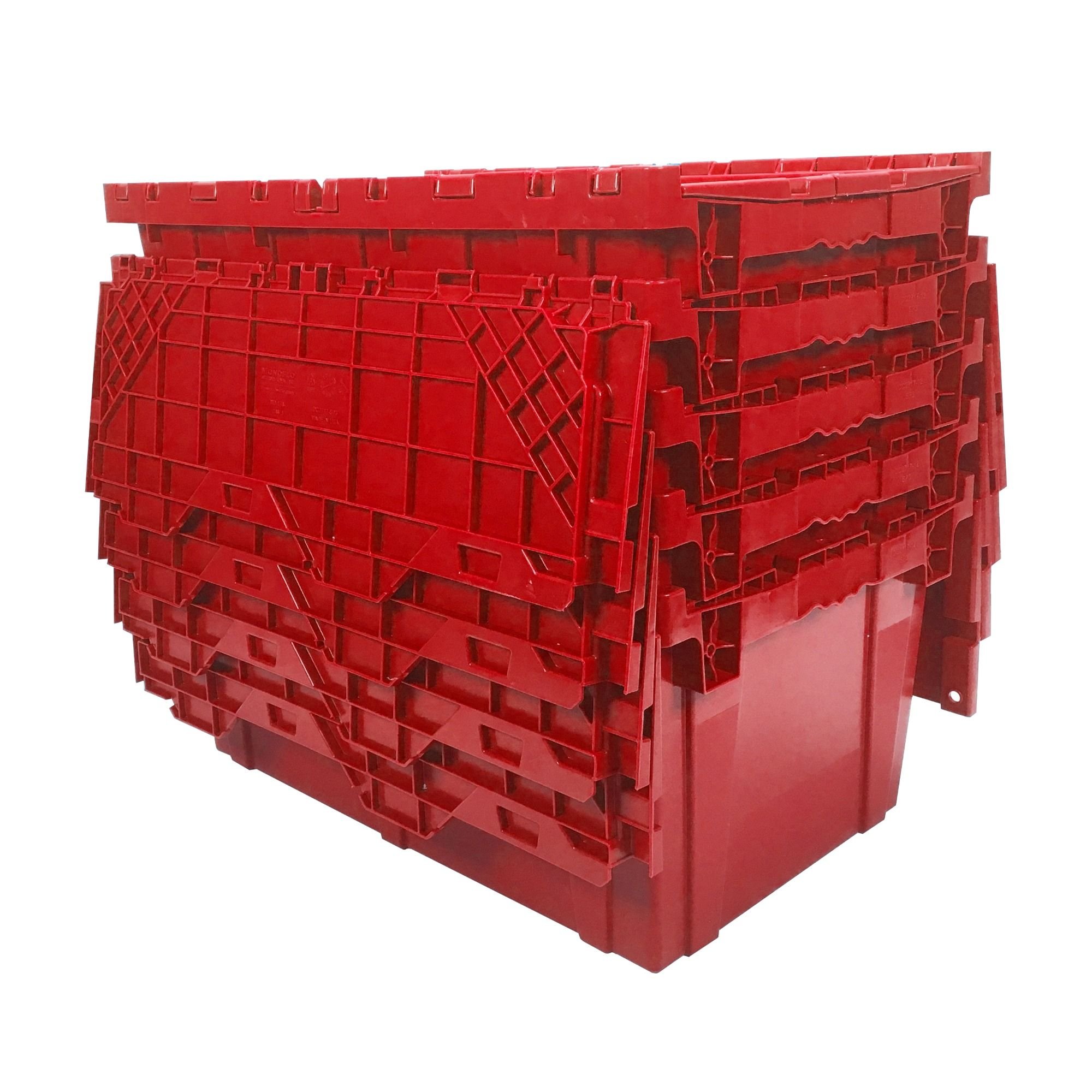 red 2.jpeg