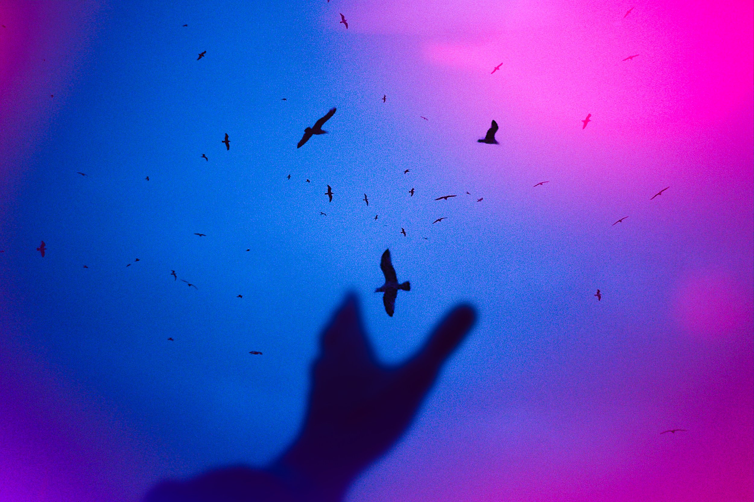 January Blues IG Settings Try.jpg