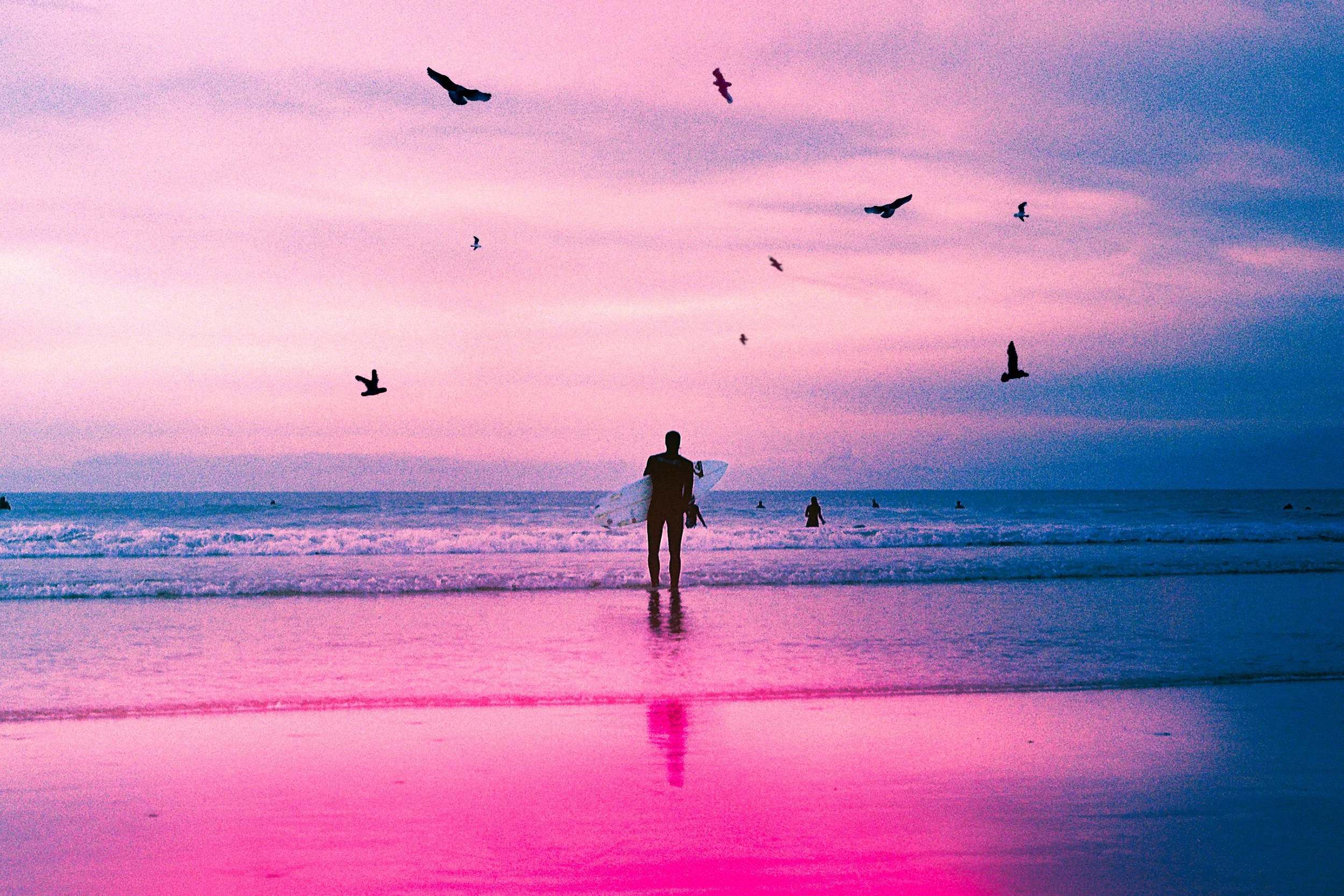 birdsandsurf.jpg