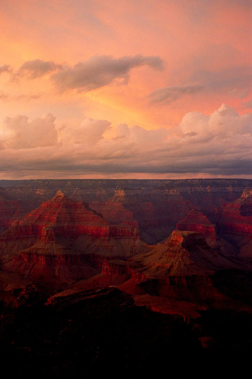 Portrait Canyons.jpg