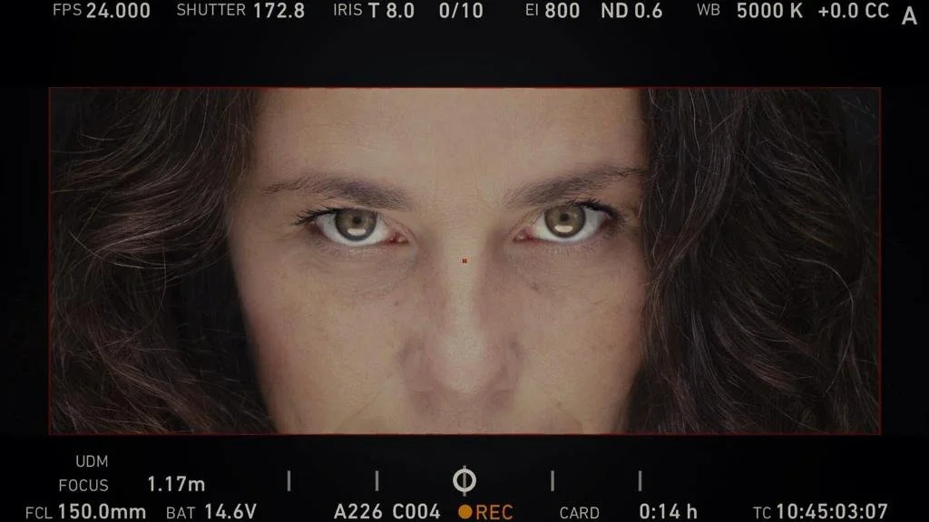 WhatsApp Image 2021-12-27 at 20.43.13.jpeg