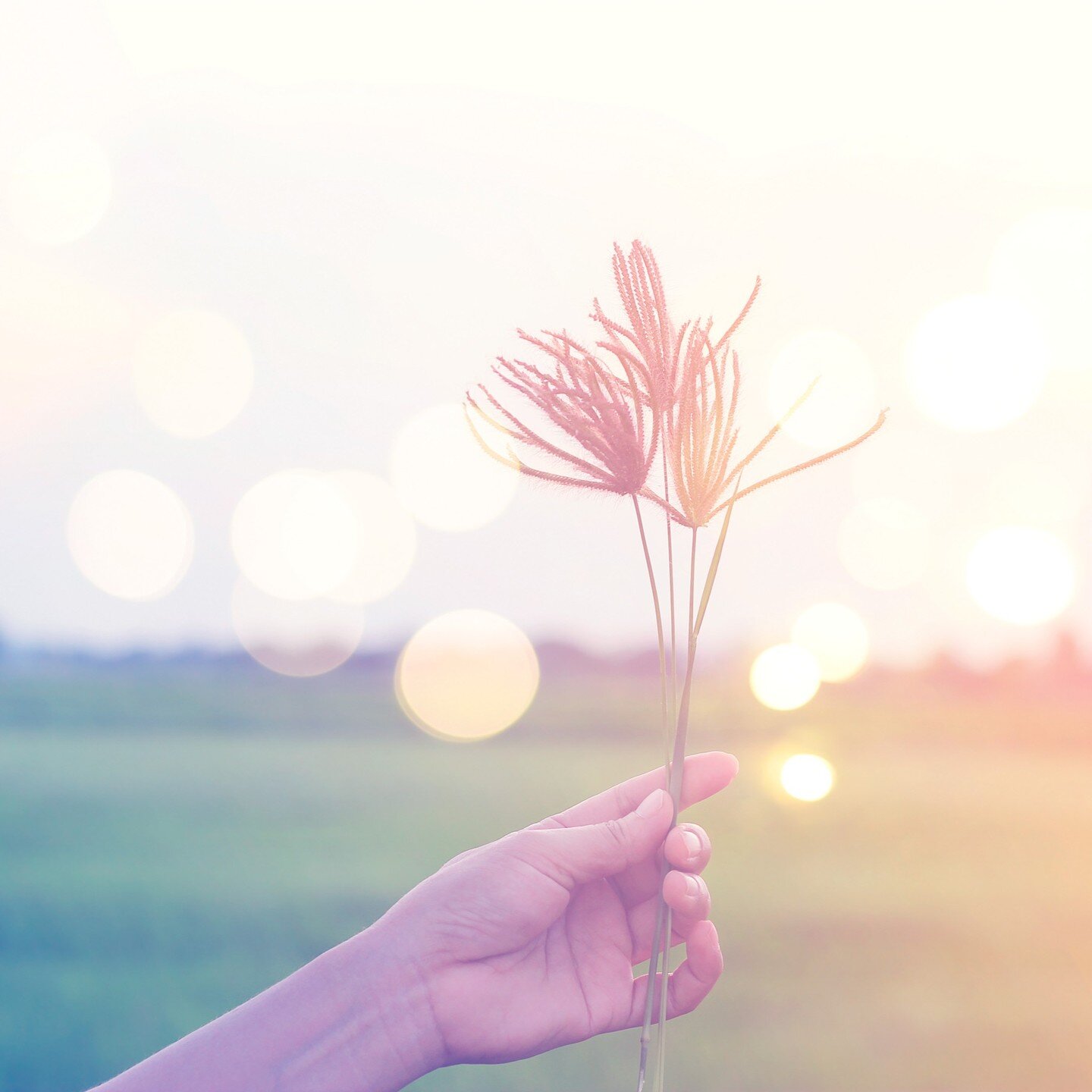 Summertime is related to the fire element and the heart meridian. That means Heart energy is heightened right now, therefore, we can access it (and disrupt it) possibly more than any other time of the year. 

Summer is a time to utilize the extra day