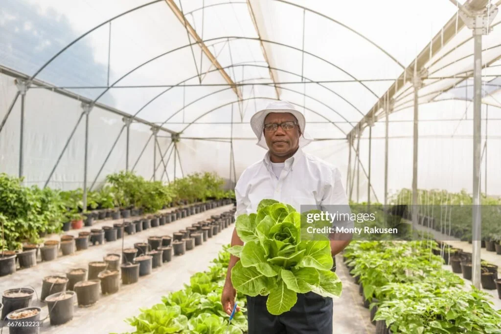 caribean-agri-tech-opportunity-.jpg