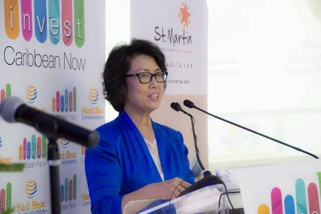 Qin, Guo Ying – Vice Chairman and Secretary General of China Women’s Development Foundation
