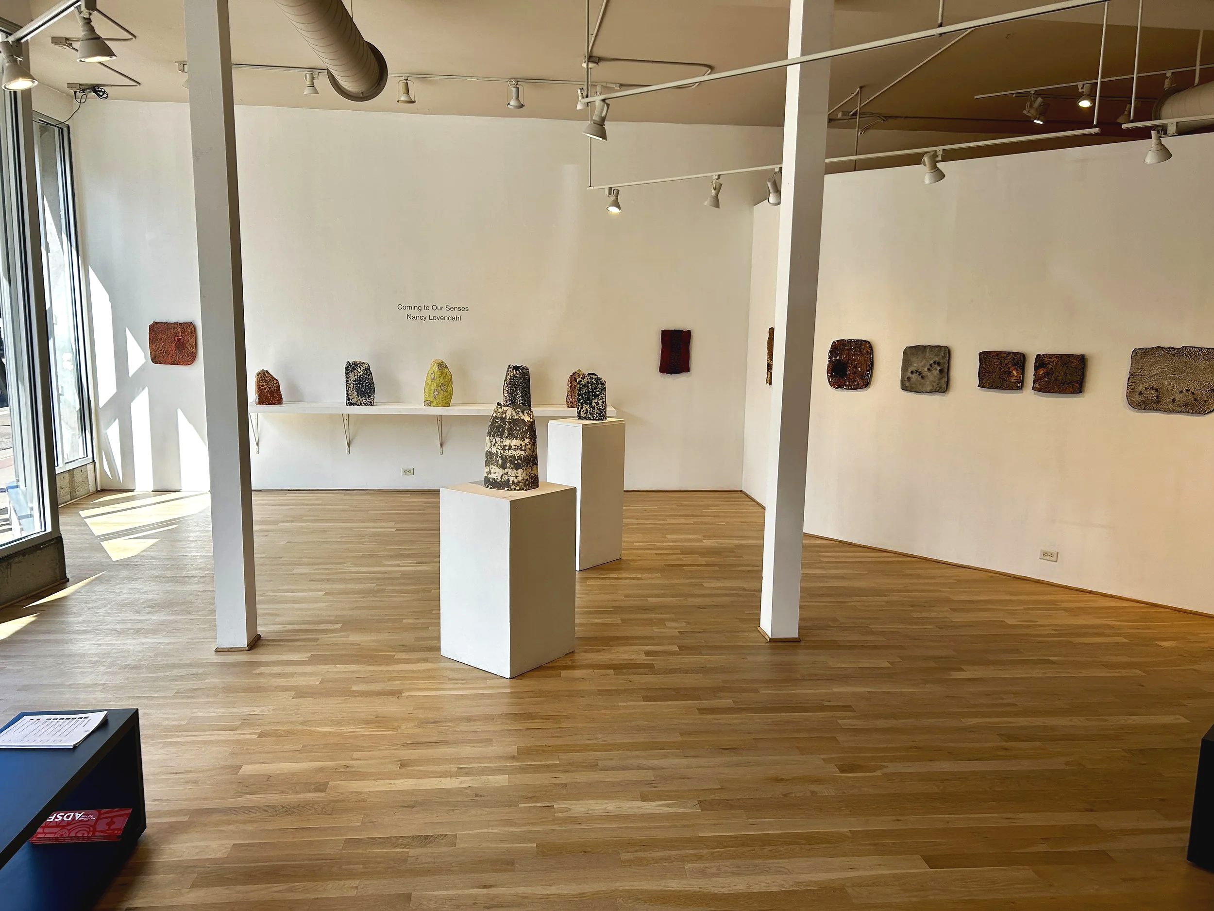 Coming To Our Senses Exhibition