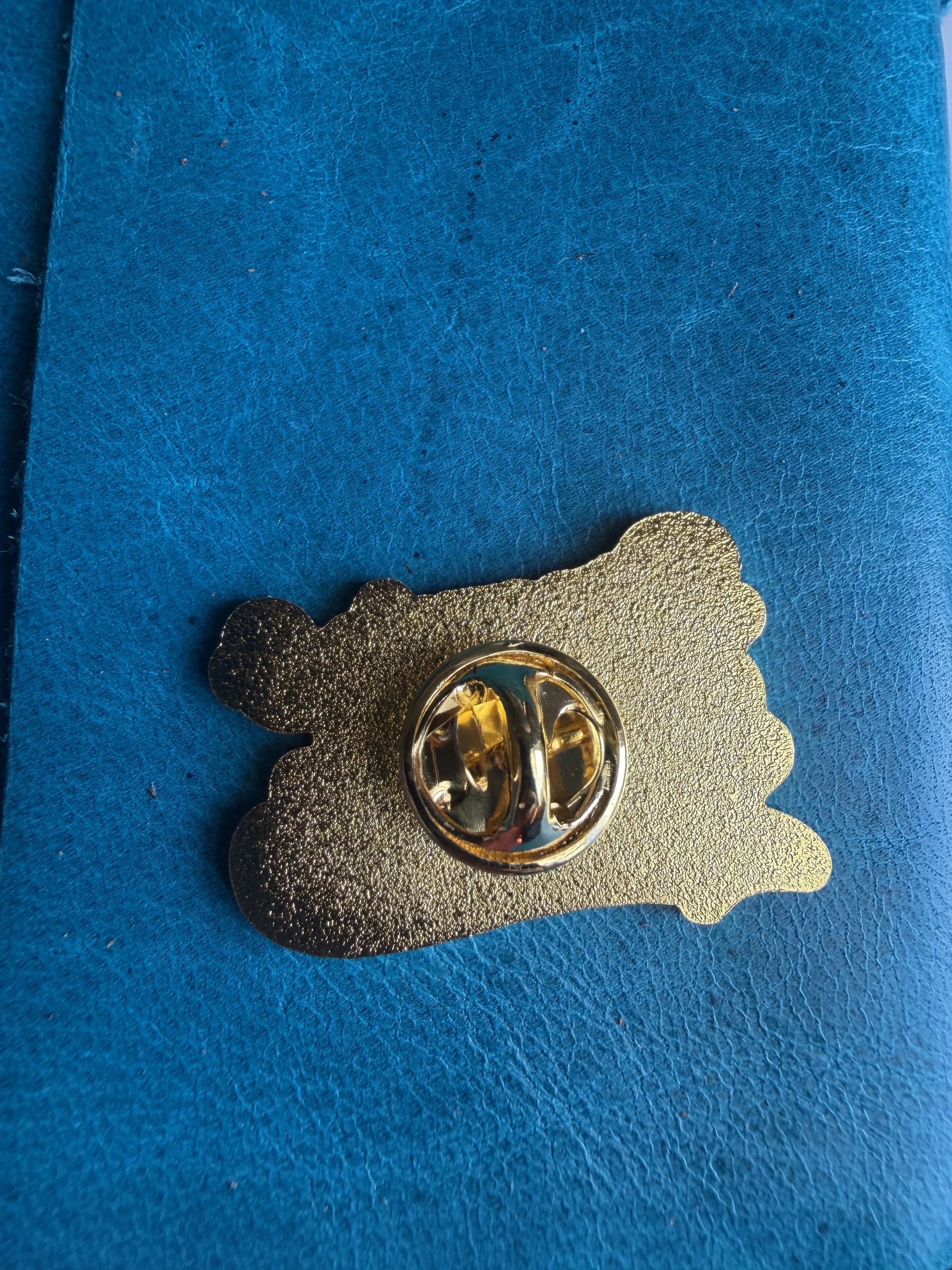 D&S pin back.jpg