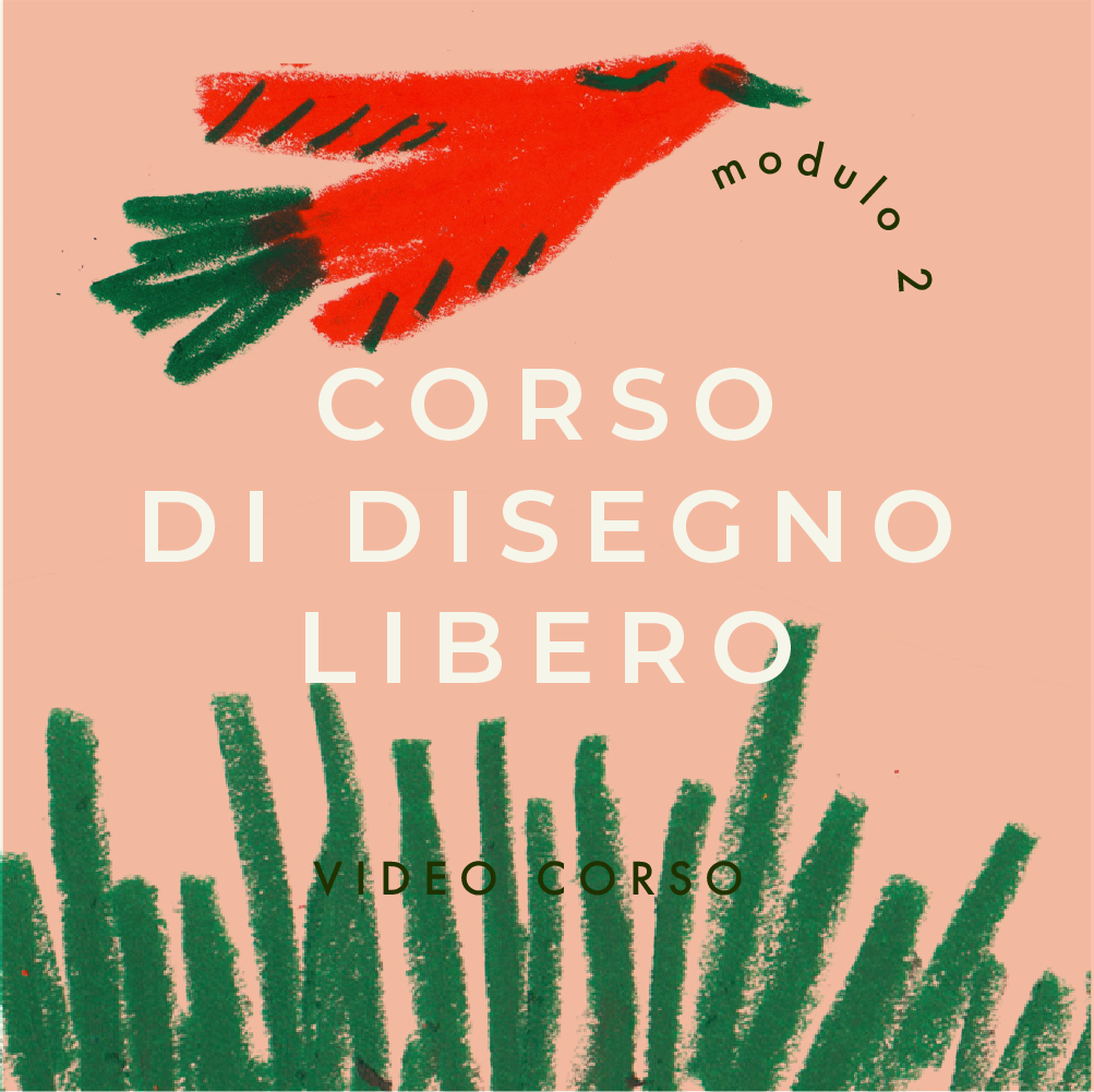 Video corso di disegno libero - Modulo 2