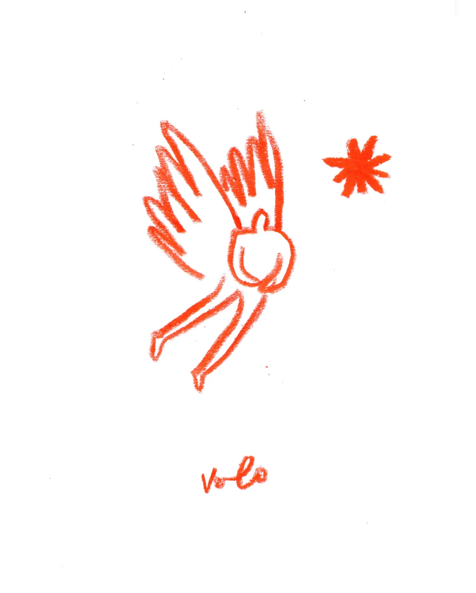 volo.jpg