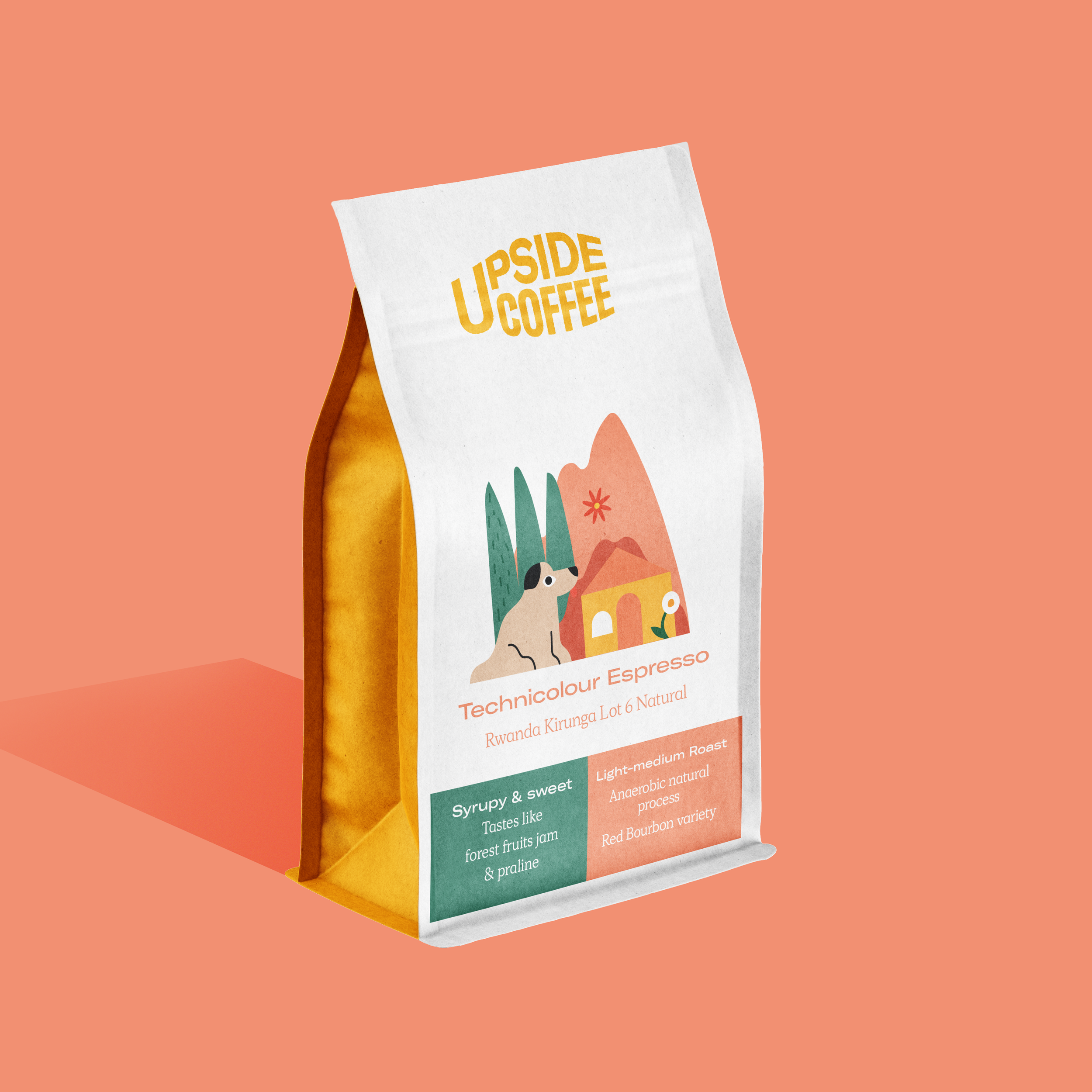 Technicolour Light Espresso