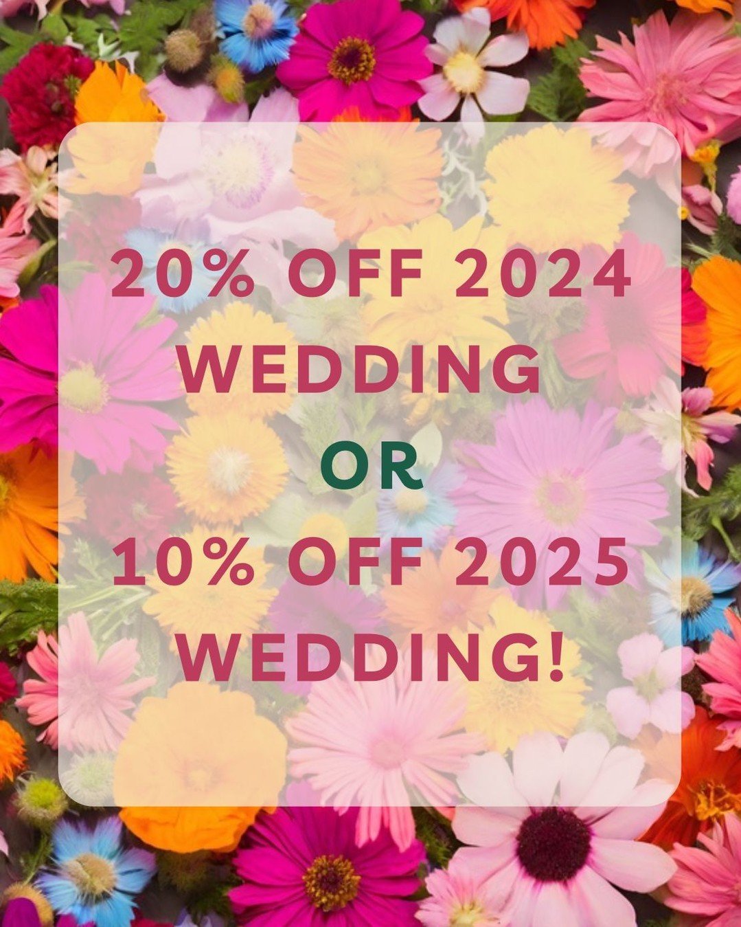 🌟 Nearly your last chance to take advantage of our special offer! Book before April 30th to receive 20% off your 2024 wedding or 10% off your 2025 wedding. Don&rsquo;t miss out on this fantastic deal! 💫💖

Leanne 🌻🌿 

&bull;
&bull;
&bull;
&bull;
