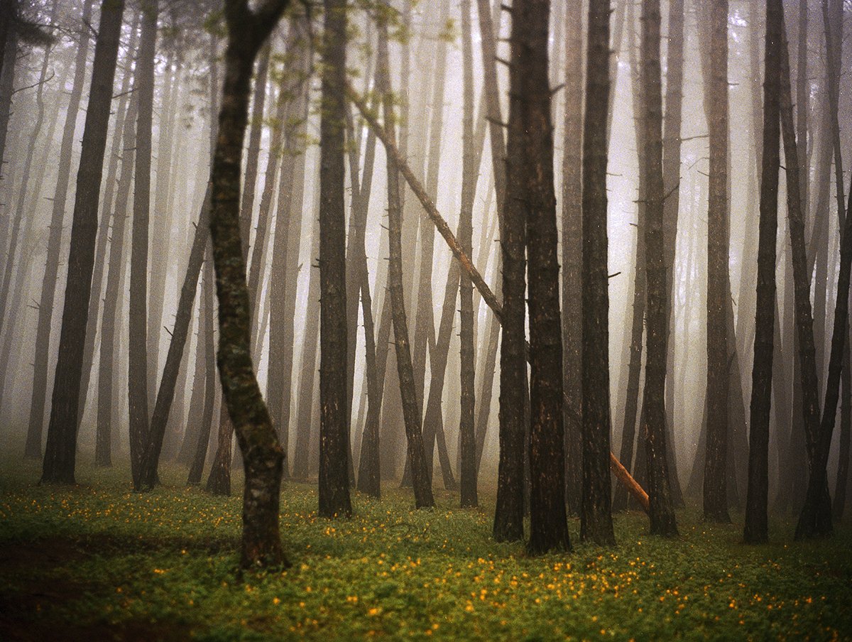 Image 1 27.jpg