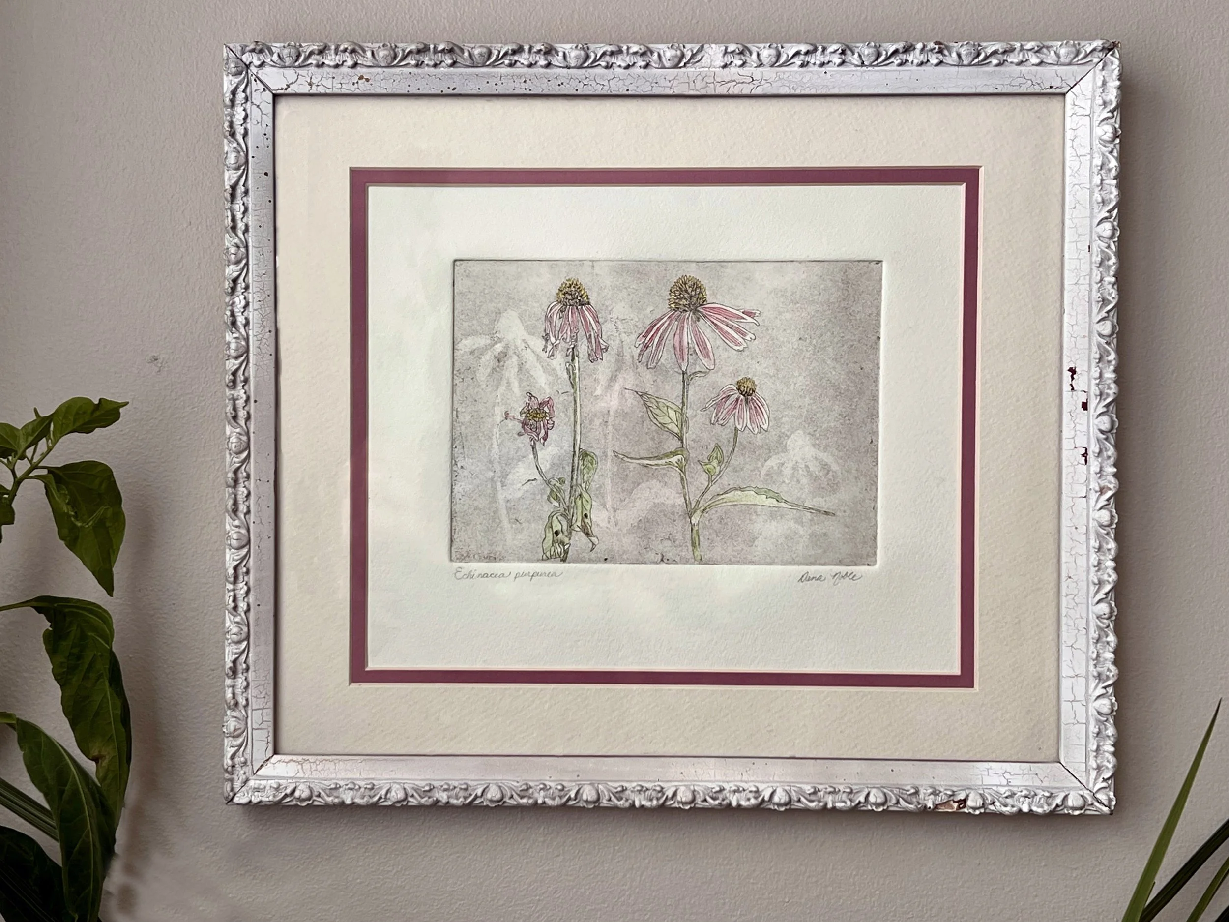 Intaglio print of coneflowers.