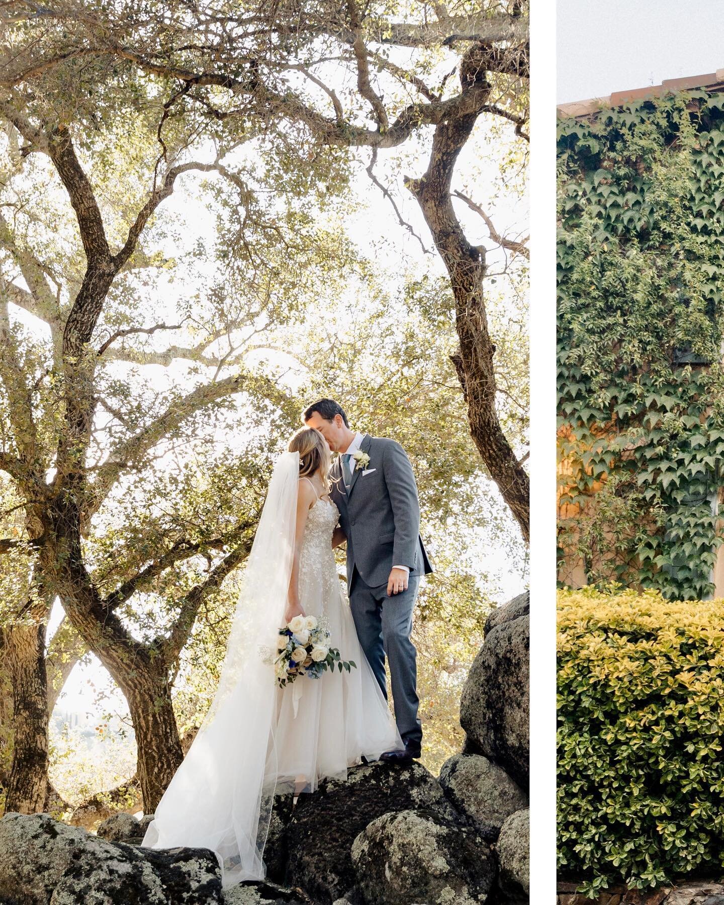 Happy Friday everyone! We&rsquo;re heading into a busy weekend.. with 5 weddings to photograph 👏👏 wishing you an amazing weekend! 

We&rsquo;re absolutely loving these photos at @milagrowinery 😍 congratulations Karly and Cory! 🍇✨