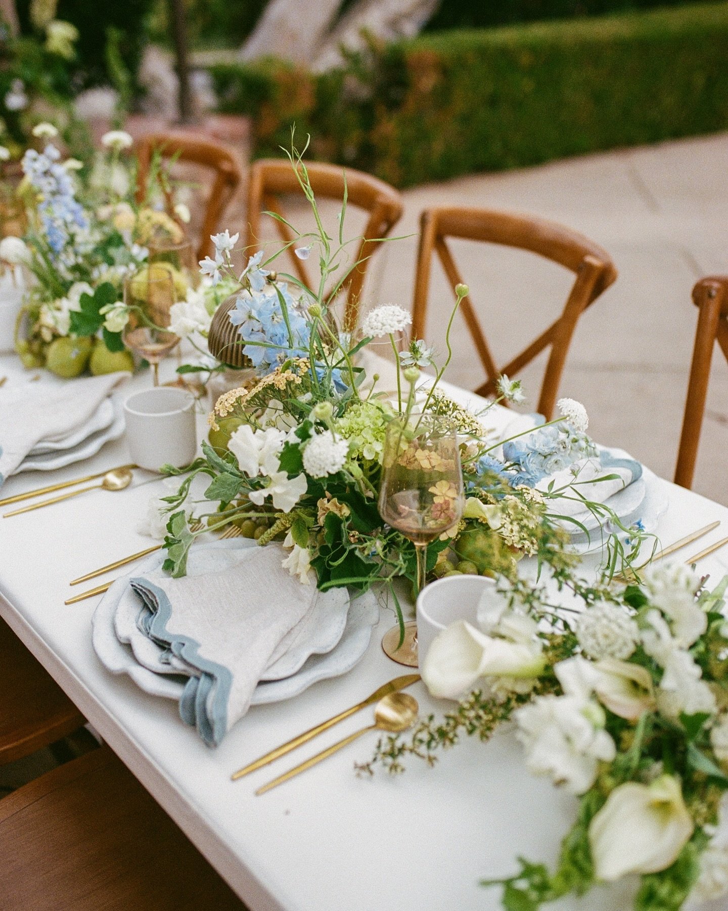 A spring romance on film 🎞️

Venue:&nbsp;@weddingsattwinoaks
Photography&nbsp;+ Content Creation:&nbsp;@epiceventsstudios
Florals:&nbsp;@whimsybloomsdesign
Tableware:&nbsp;@thedarlingdishsd
Signage:&nbsp;@detailsbybohobabes
Bridal gown:&nbsp;@blushi