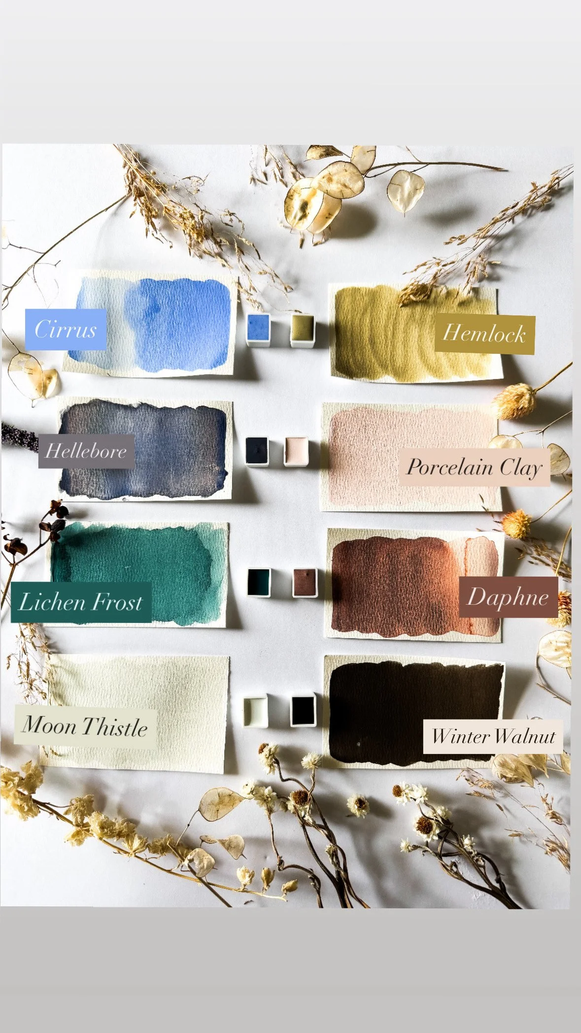 EE601AFD-0412-47FA-AC3C-F40A0DC2CC65 2.JPG